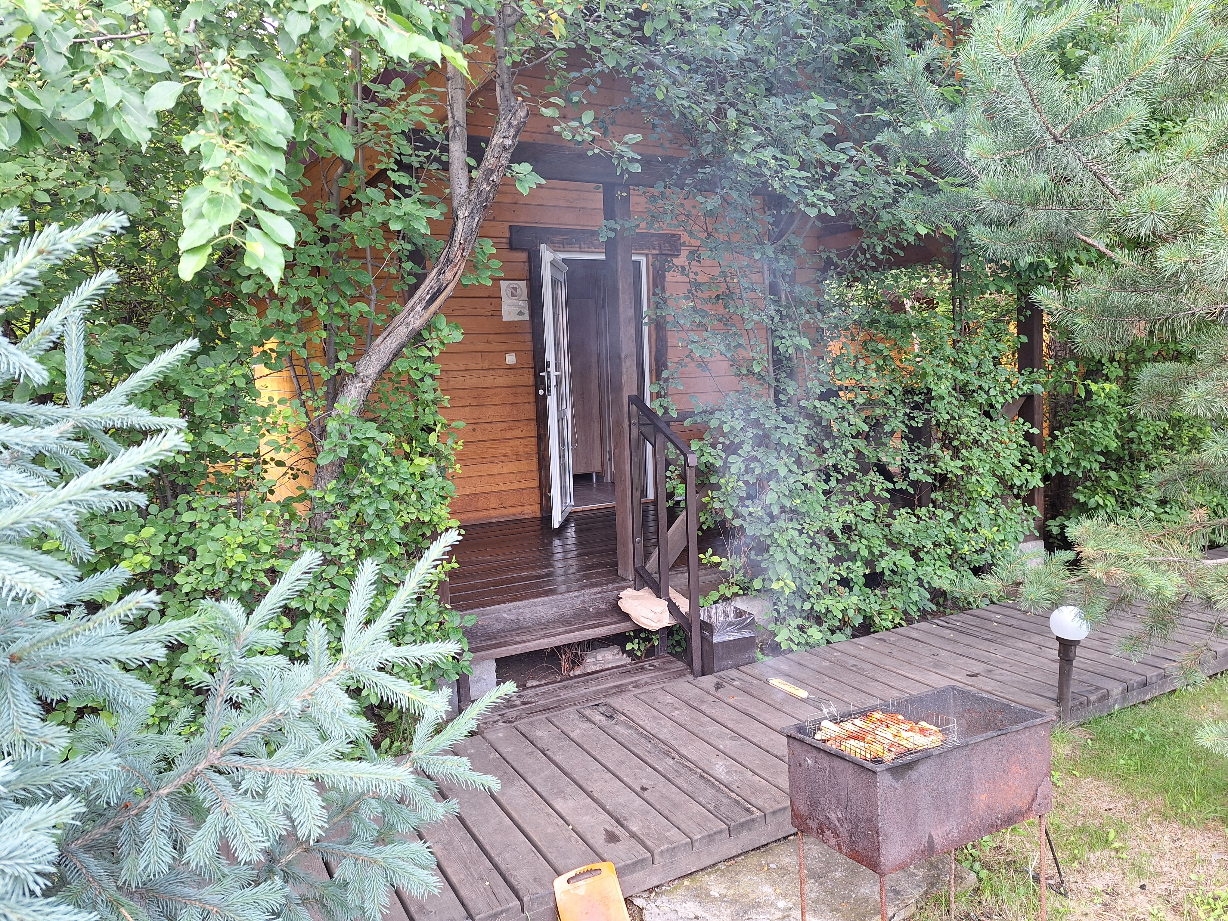 Фото Чемальское лето