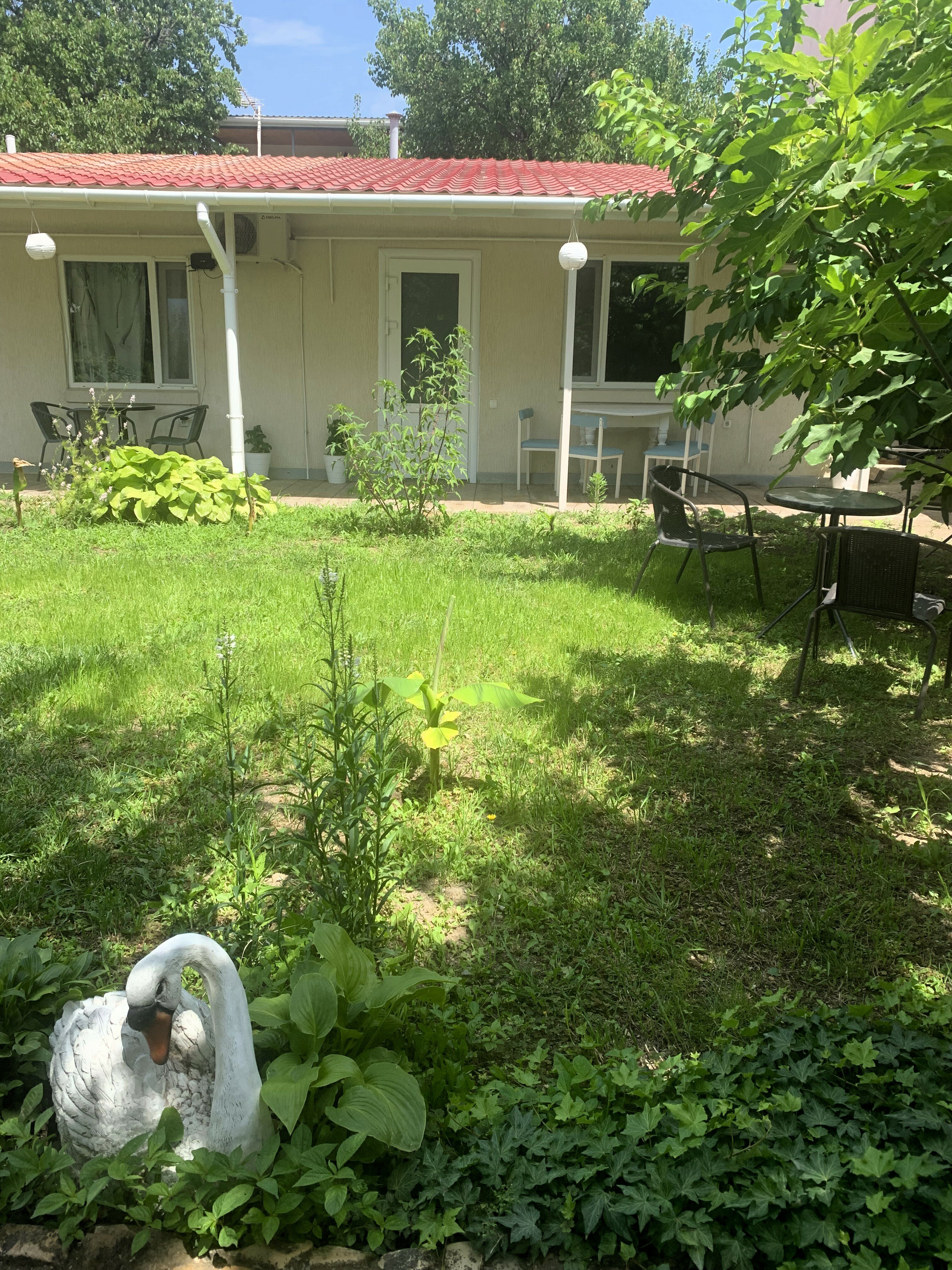 Фото Домики в саду