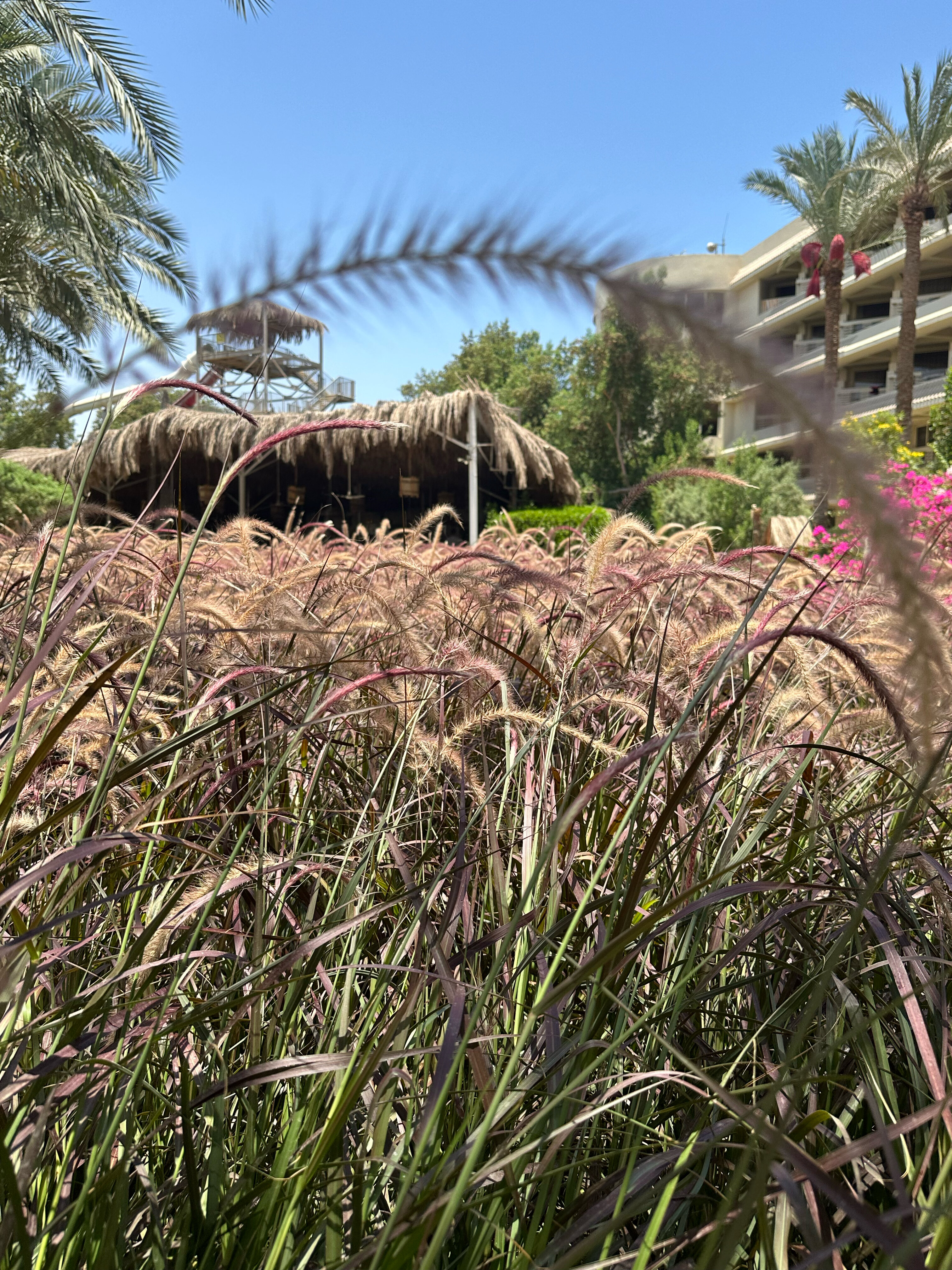 Фото Sindbad Club