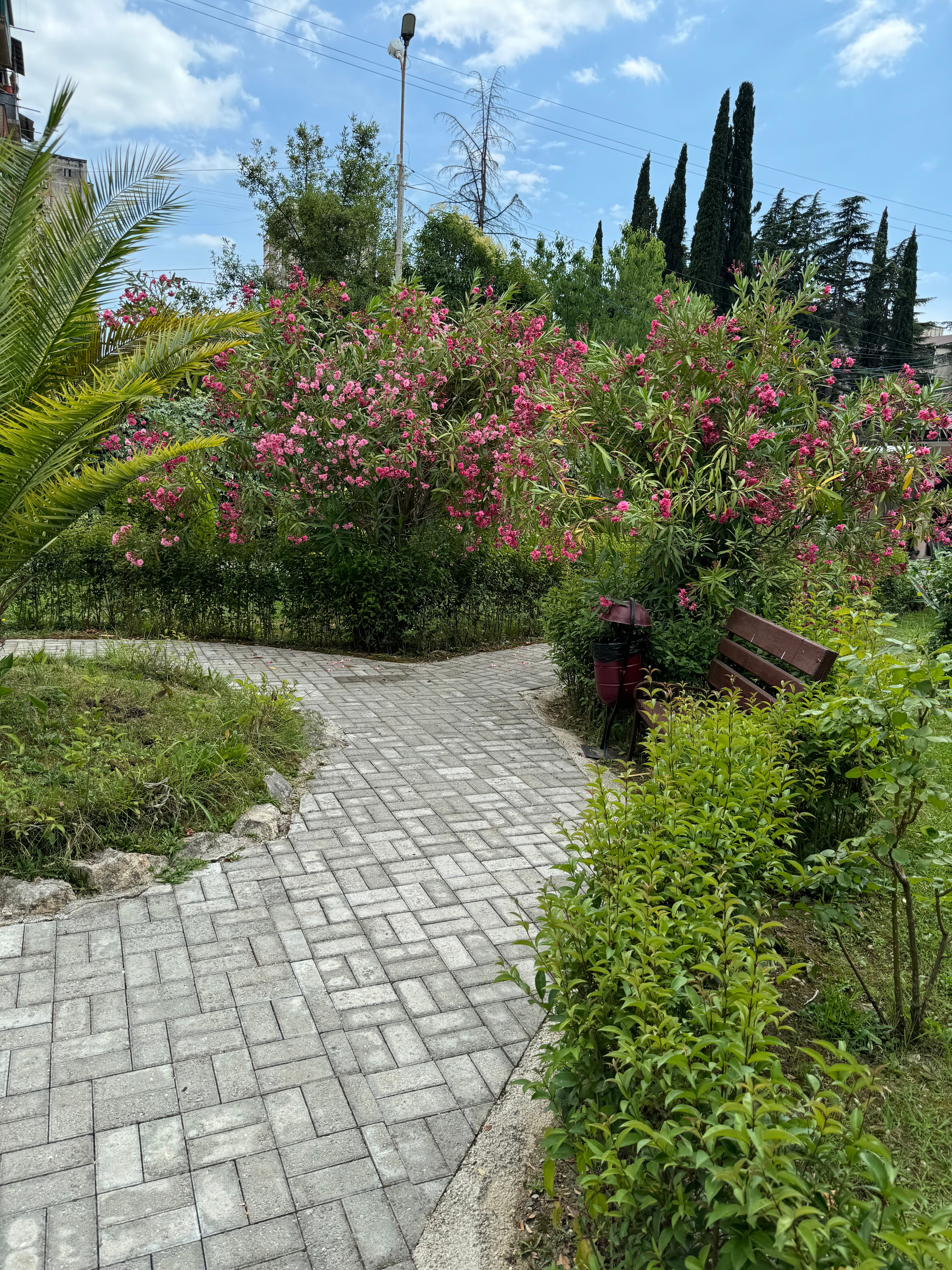 Фото Апсилаа