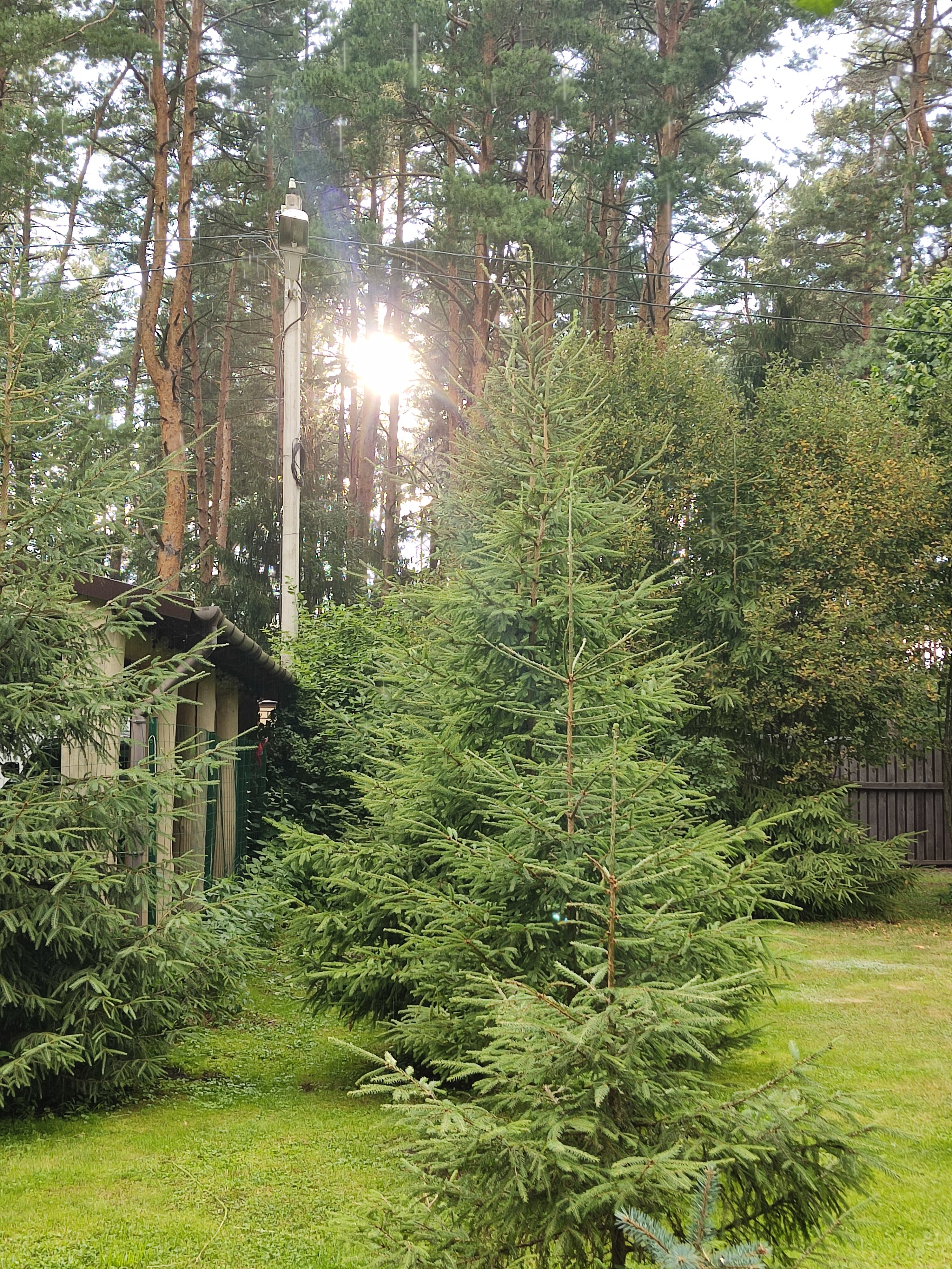 Фото Дом у озера