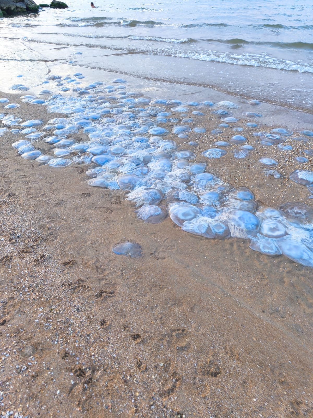 Фото Морская дача