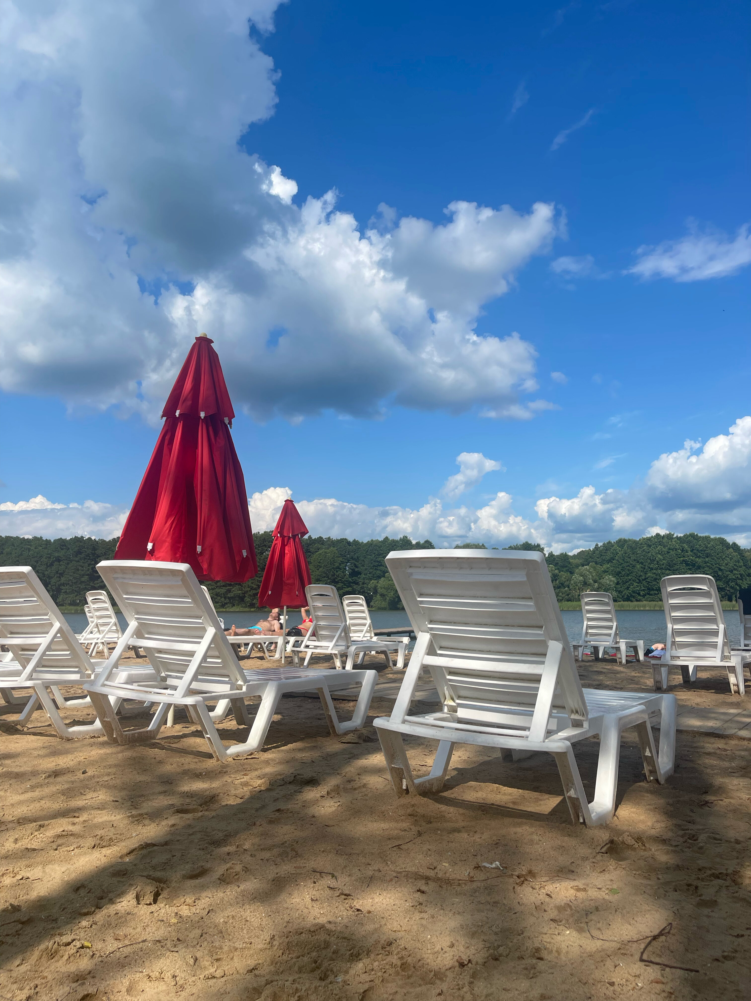 Фото Пильня