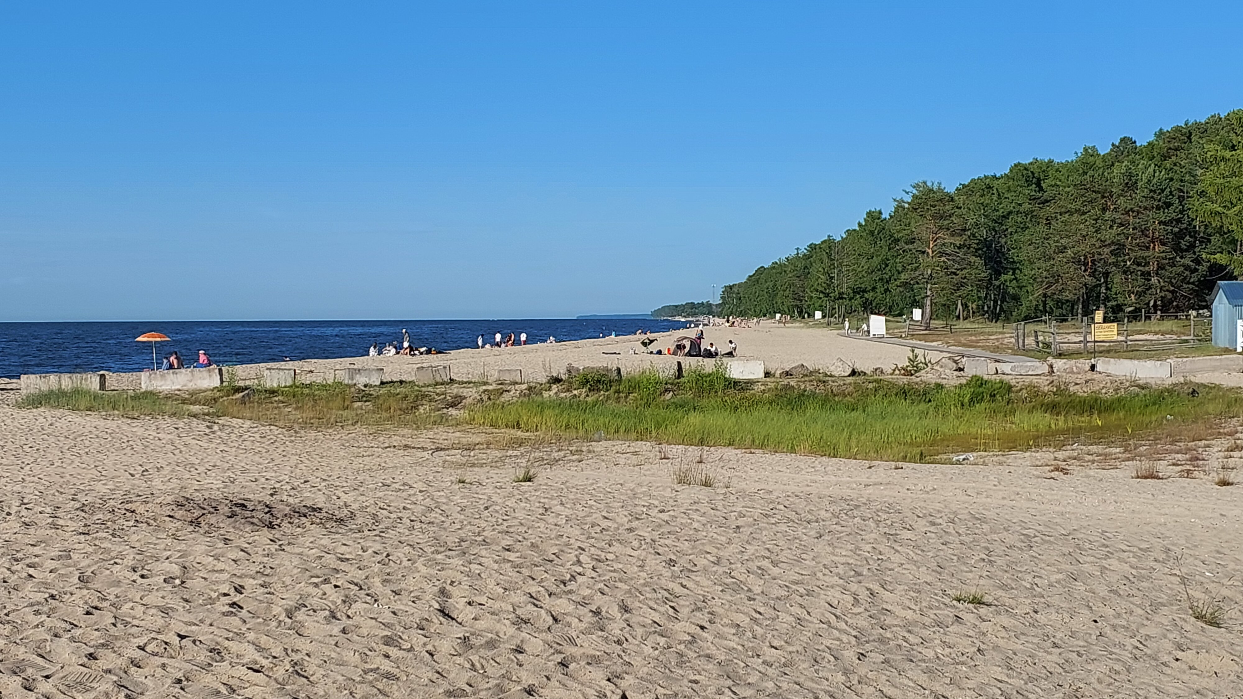 Фото Звездный