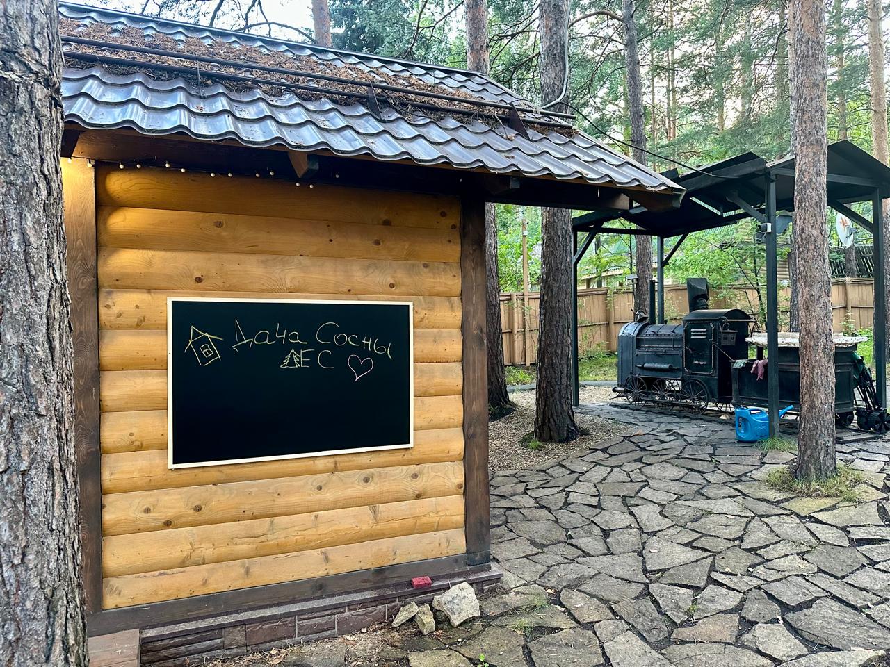 Фото Сосны-Лес