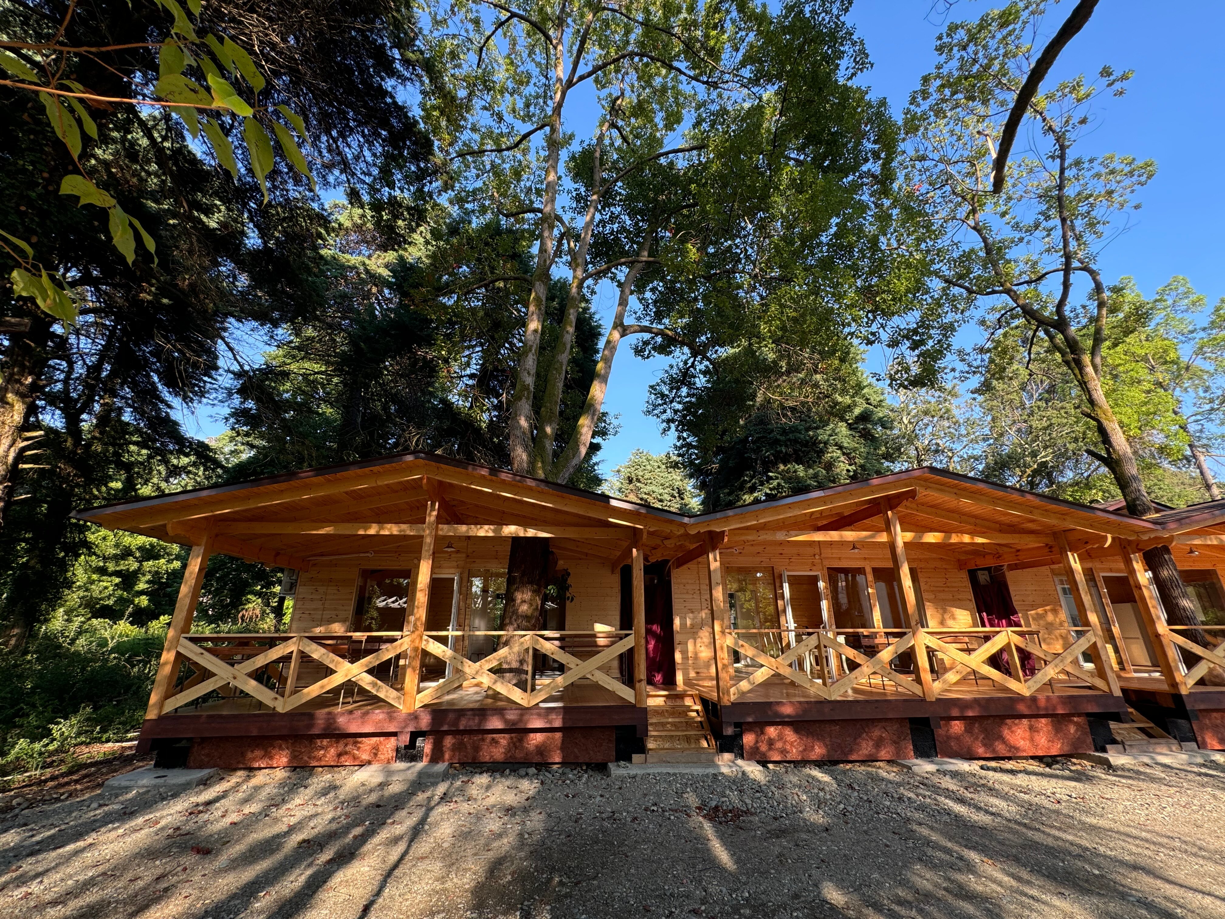 Фото Сосновый Парк