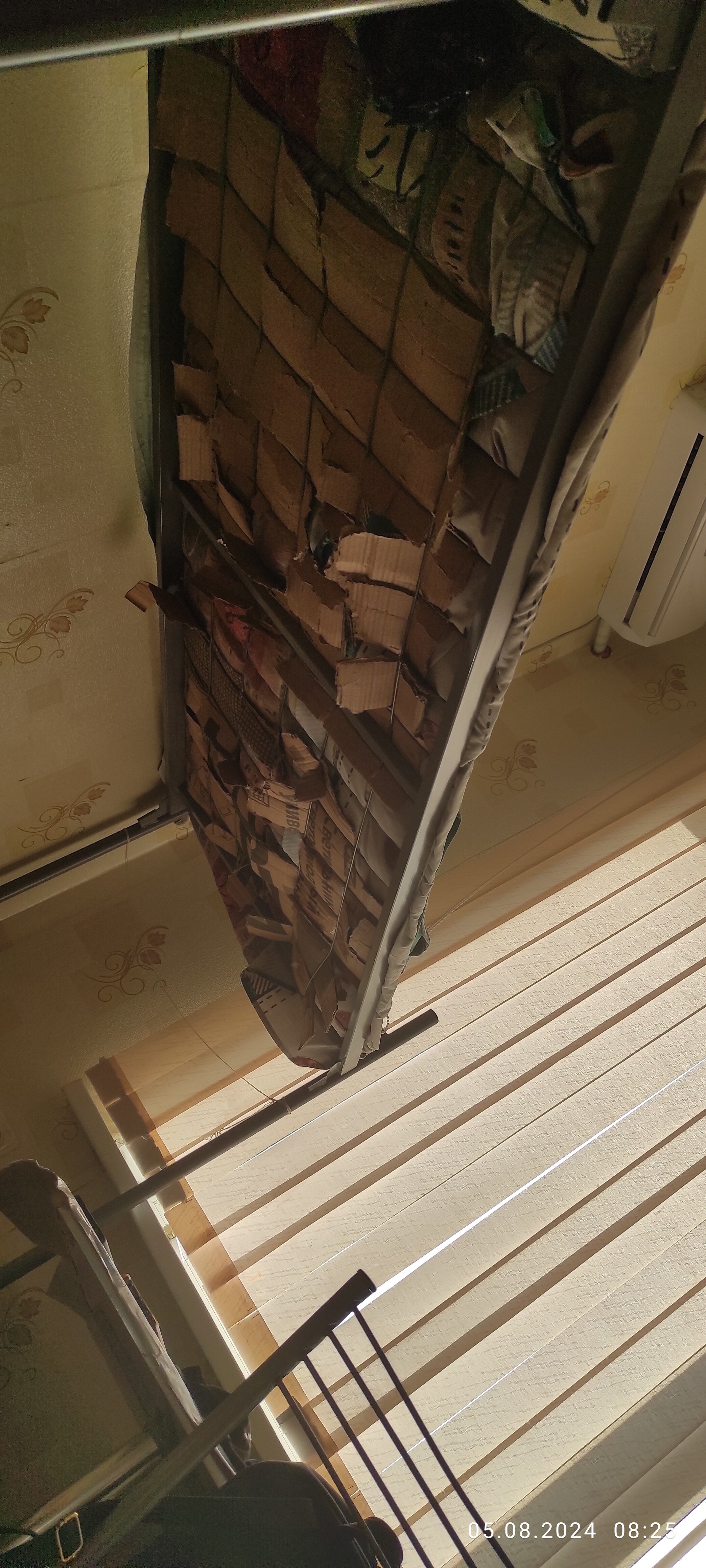 Фото Виктория