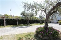 Фото Apollon Apartments