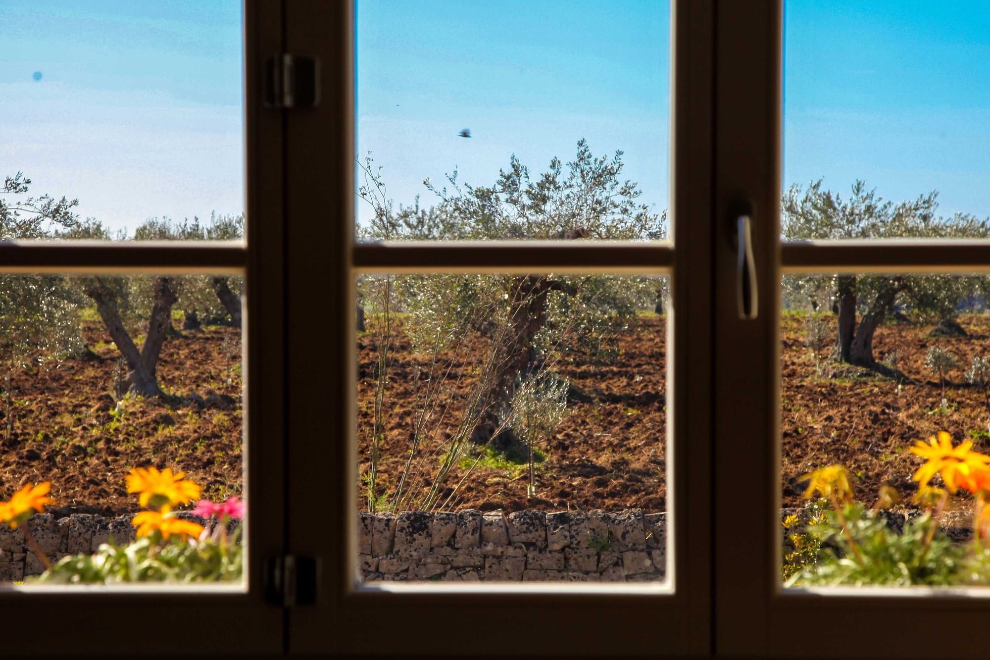 Фото Zahir Country House