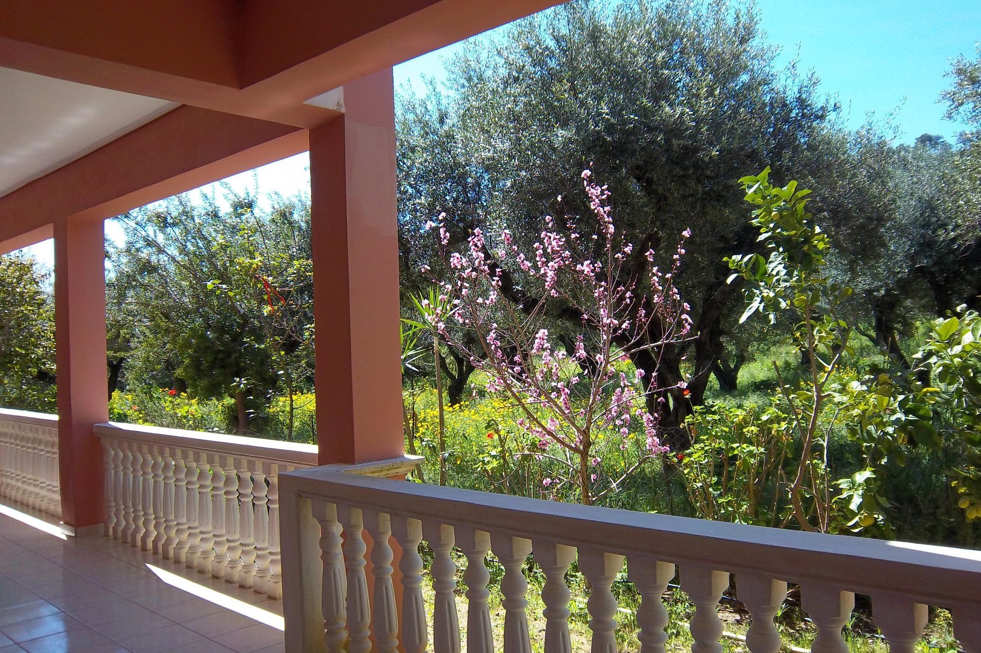 Фото Arazzo Apartments