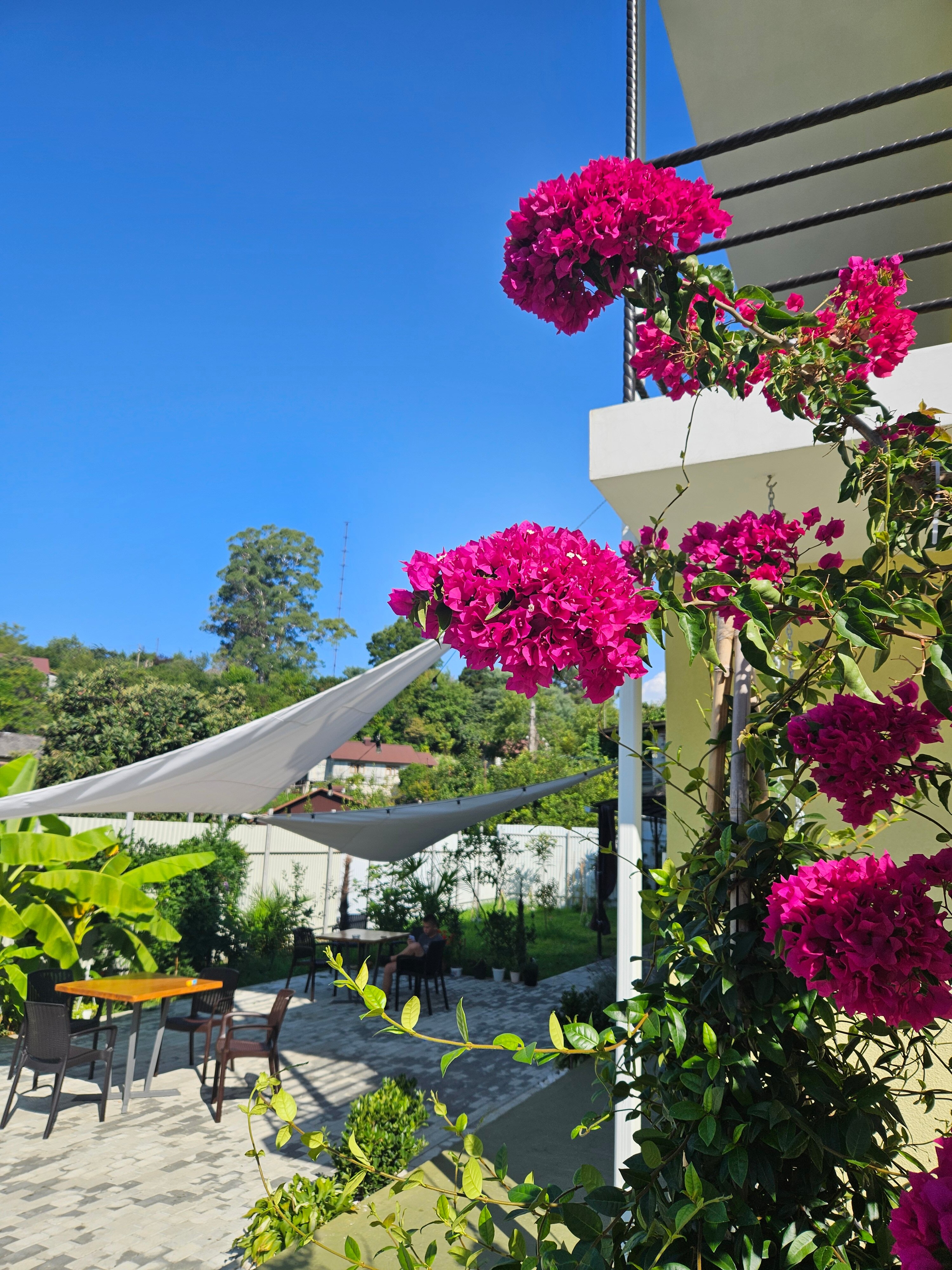 Фото Лимончелло