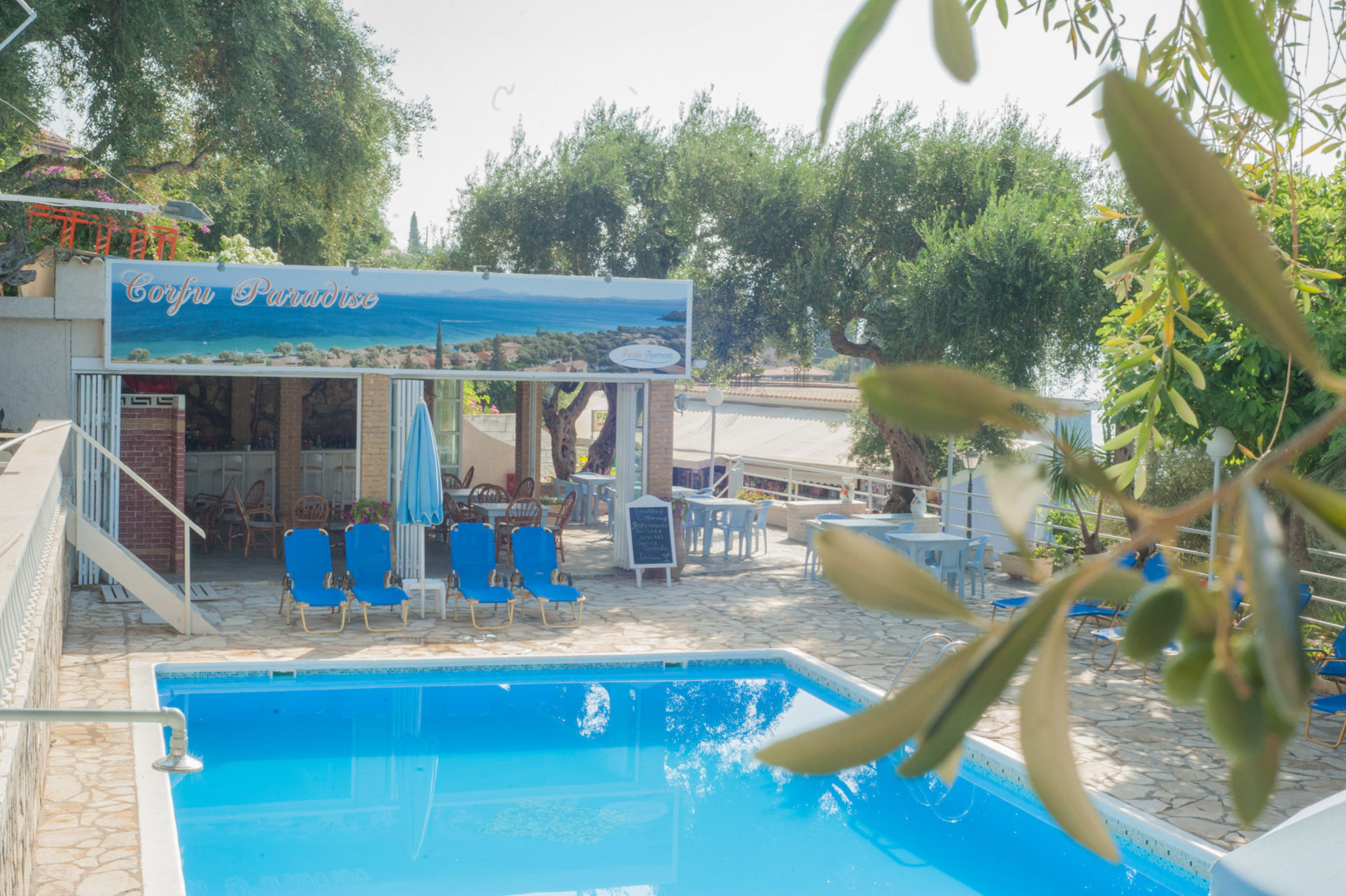 Фото Paradise Apartments