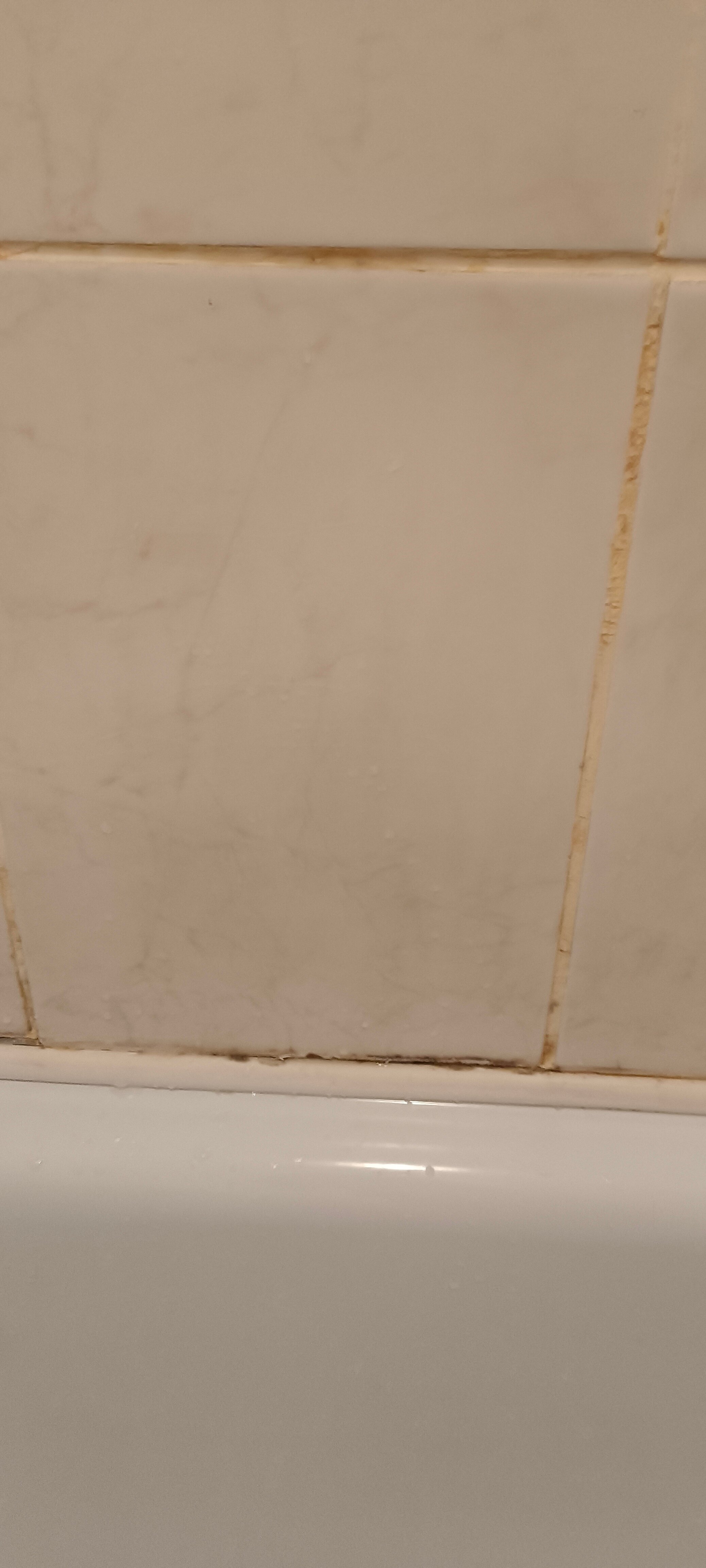 Фото Стрелец