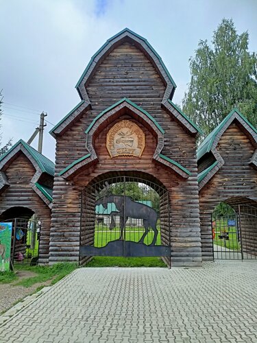 مزرعة الفراء Winter camp Losinaya ferma ، مقاطعة كوستروما، صورة