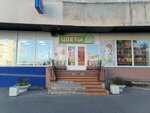 Floxbuket (ulitsa Lomonosova, 87) ، محل زهور