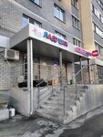 Ладушки (Ladozhskaya Street, 153), toys and games