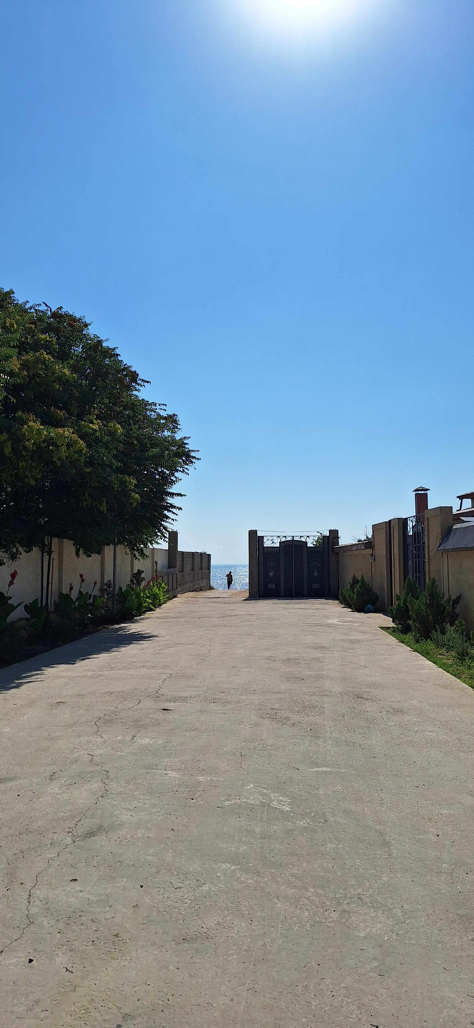 Фото Корона