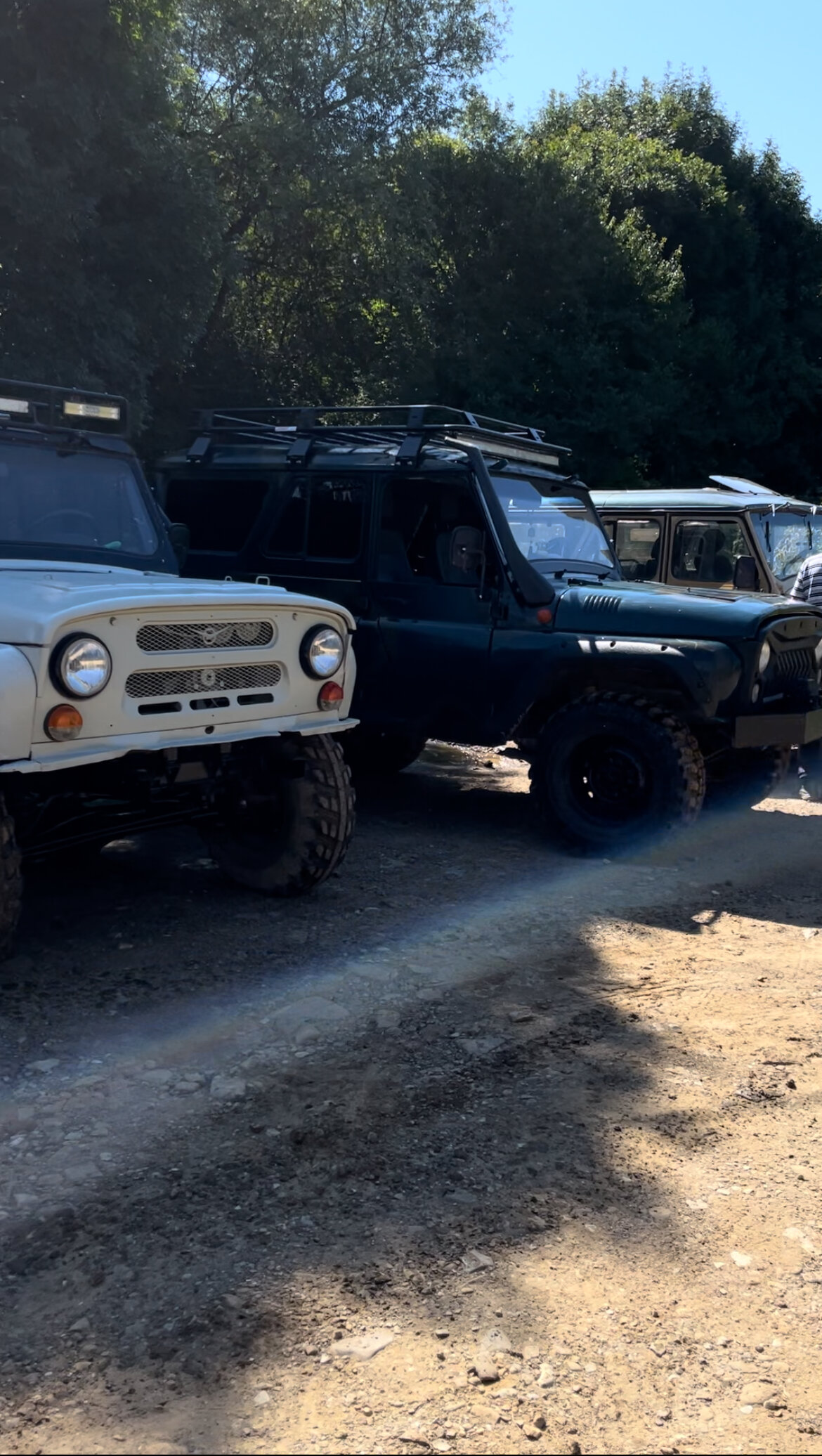 Фото Forest__loft