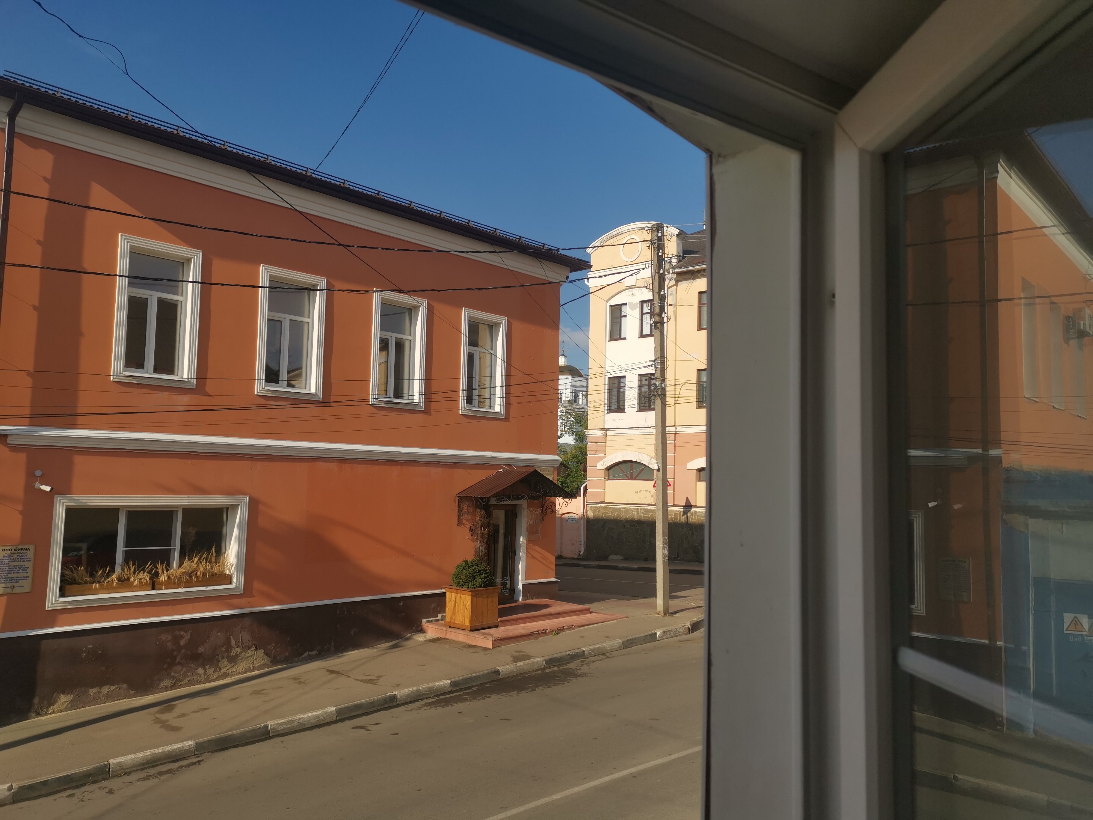 Фото Базилик