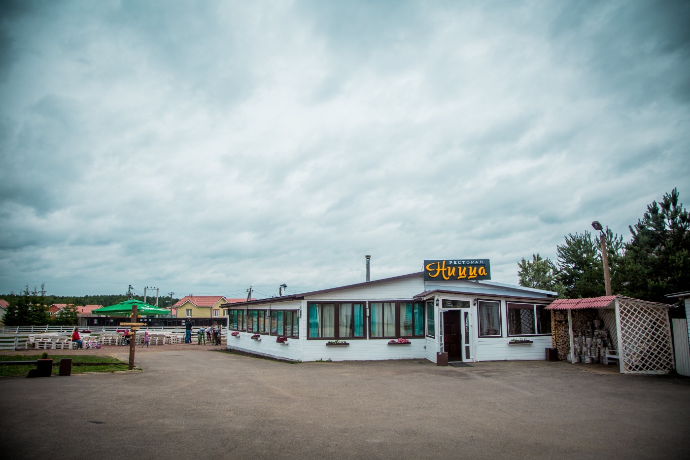 Фото Сова Сойкино