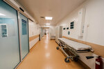 Meditsinskiy Gorod (Barnaulskaya ulitsa, 32к1), hospital para adultos