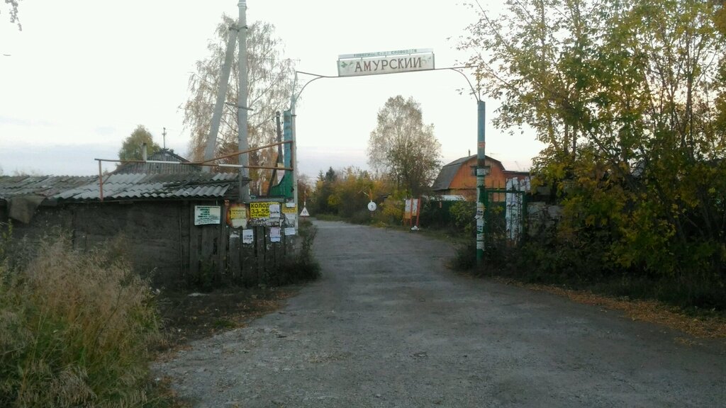 Садоводческие товарищества и общества Амурский, Омск, фото
