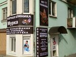 Ветеринарная клиника Мурка (Illicha Avenue, 94), veterinary clinic