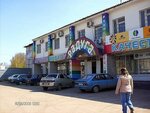 Raduga (selo Kinel-Cherkassy, prospekt 50 let Oktyabrya, 10) ، متجر البذور