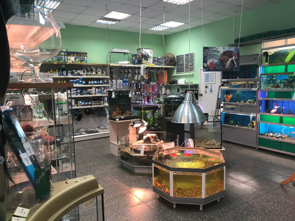 Aquariums Akvariumistika, Kolpino, photo
