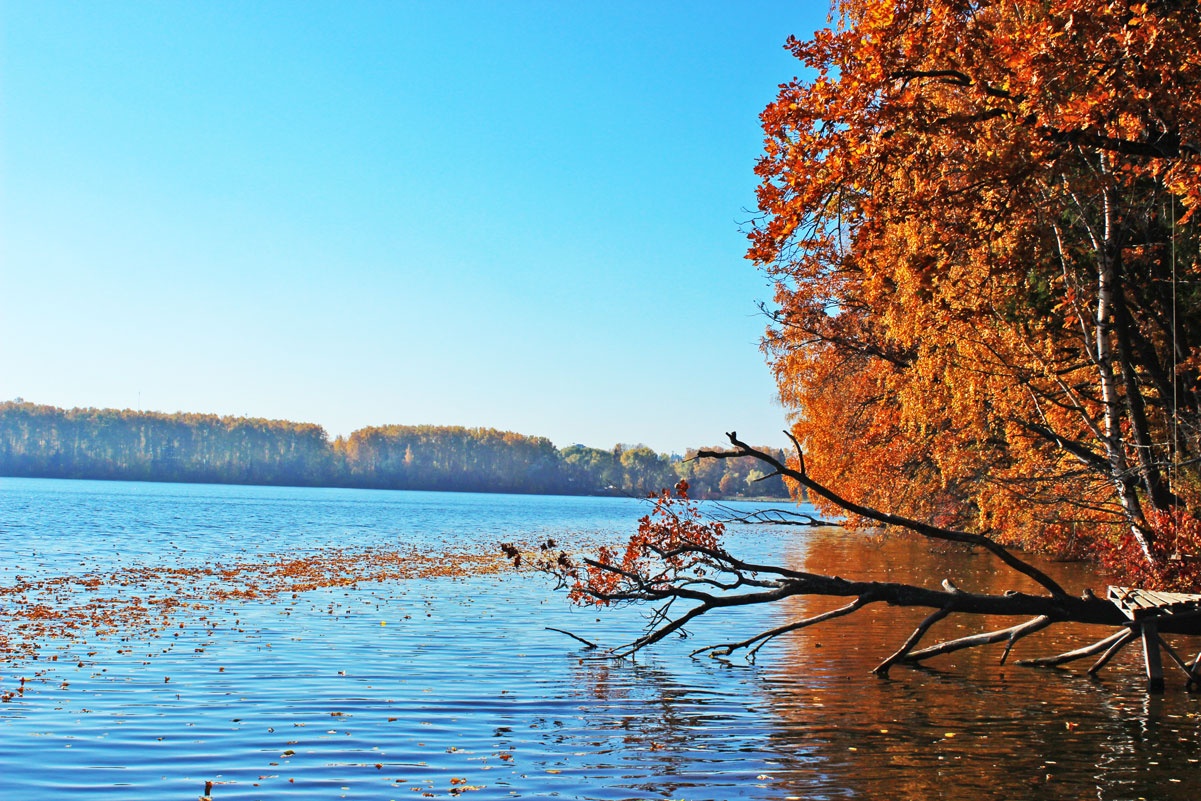 Фото Корабль