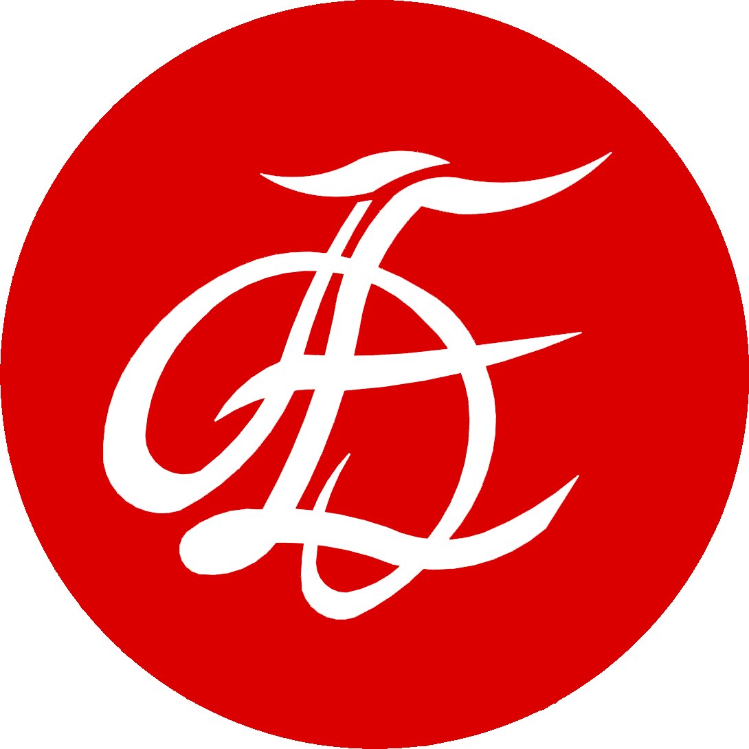 Advokat Druginina E. P.