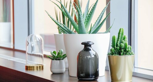 Гостиница Best Western Plus Plaza Hotel Graz в Граце