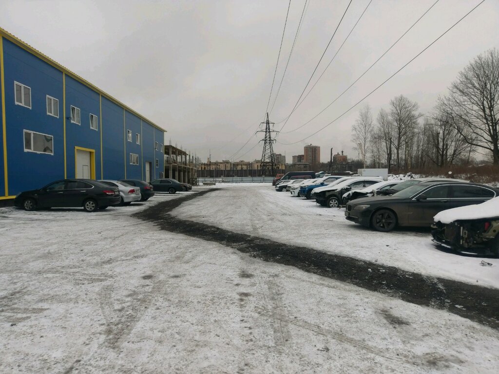موقف السيارات Автомобильная парковка ، سان بطرسبرغ، صورة