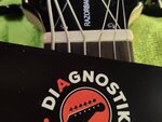 Фото 5 Diagnostik-guitars