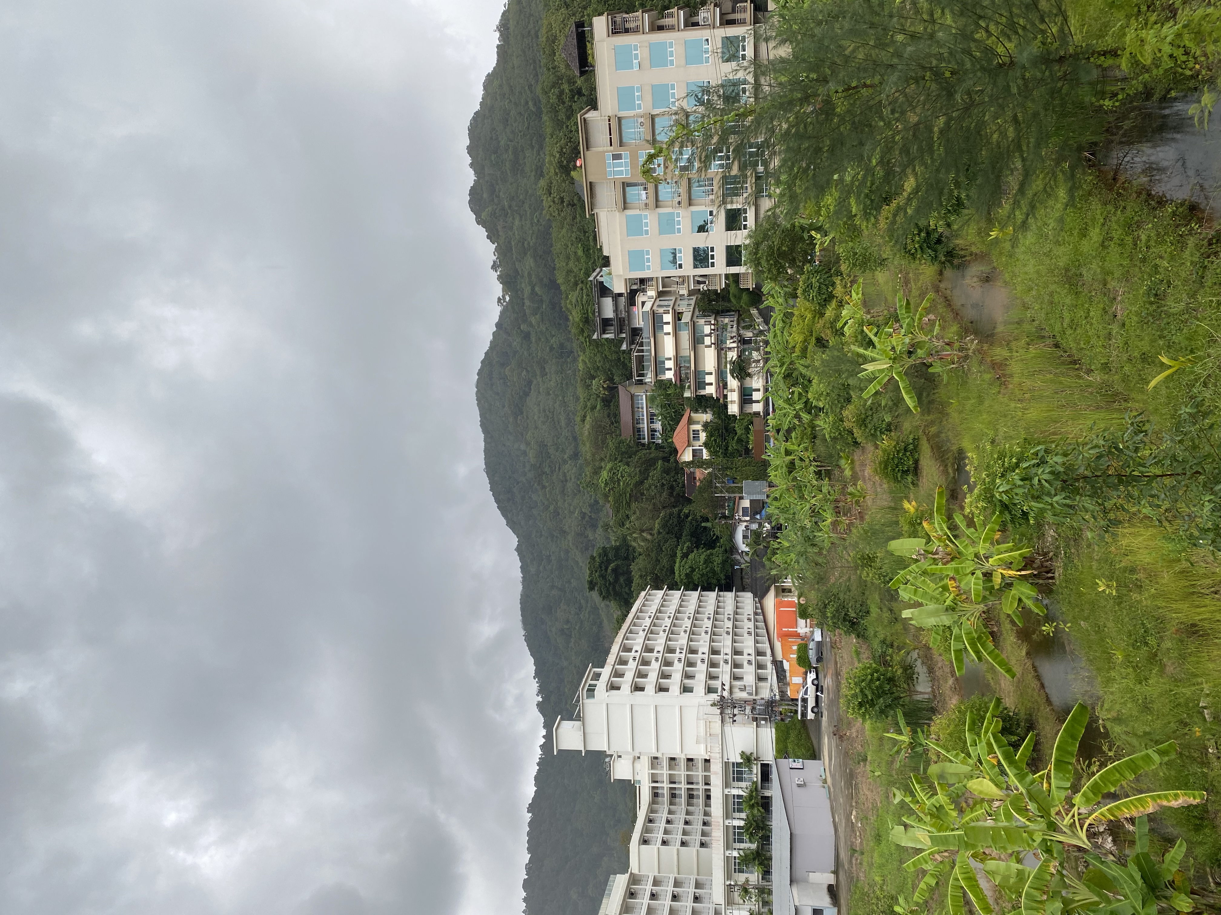 Фото The Village Resort & SPA