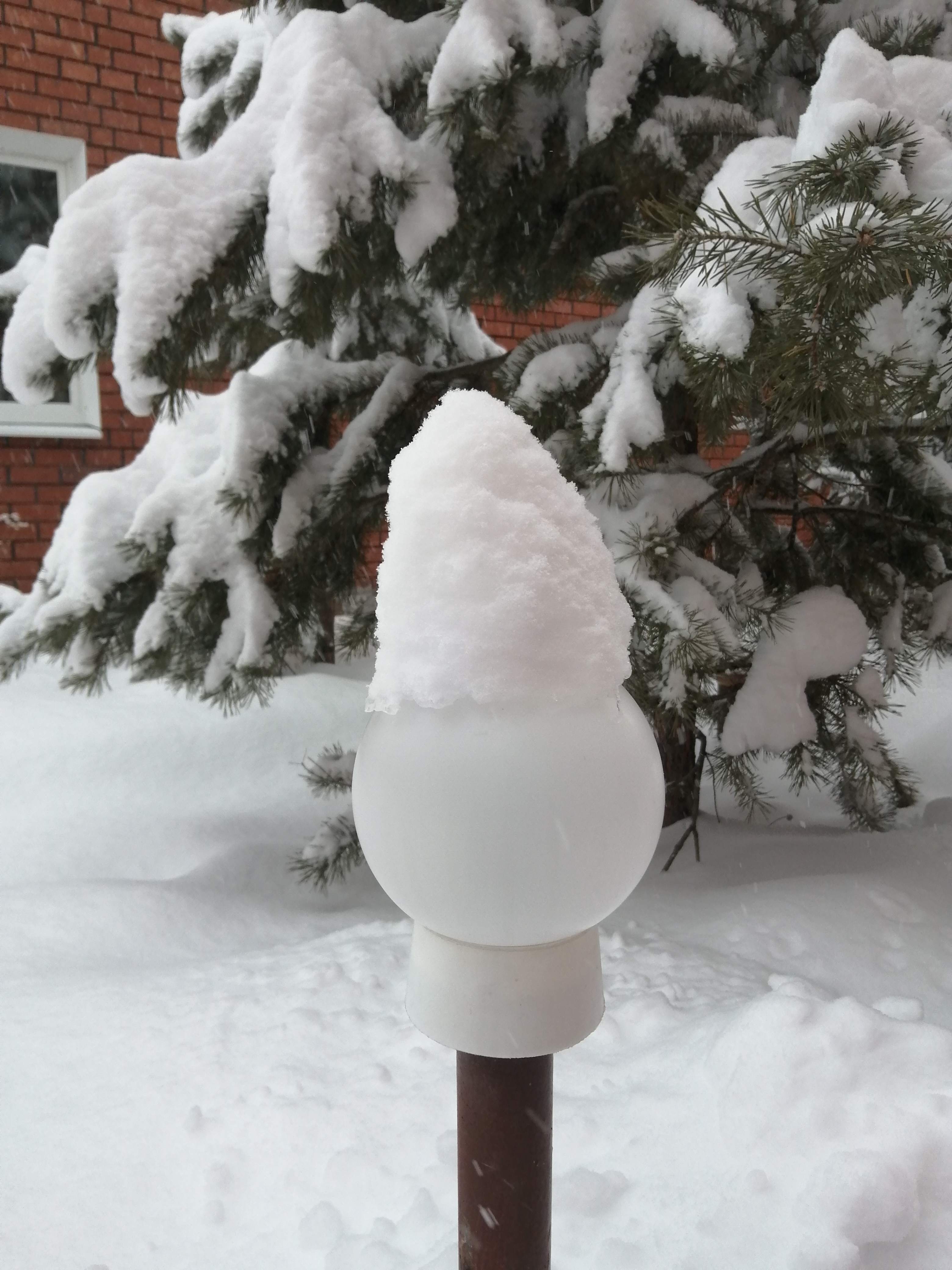 Фото Дарина