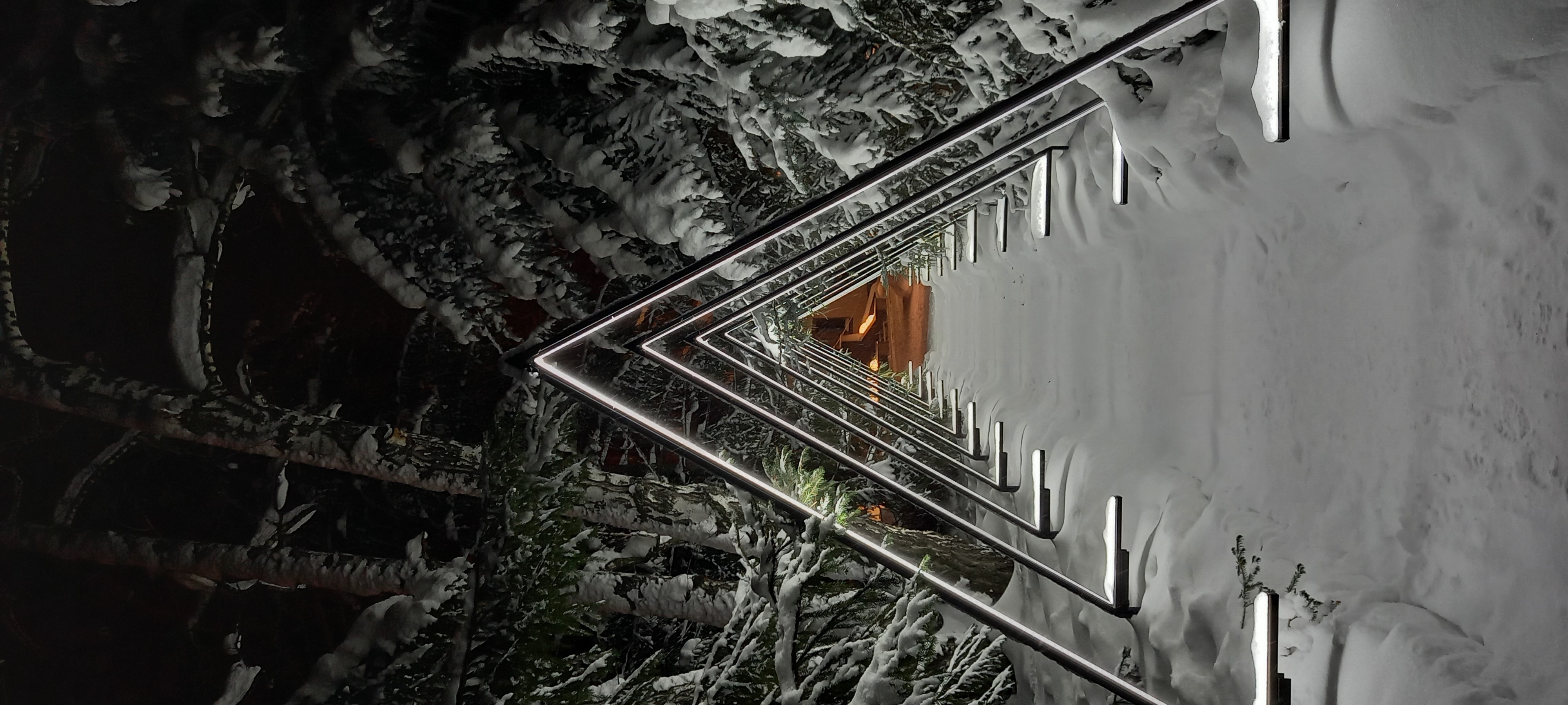 Фото Сосновый бор