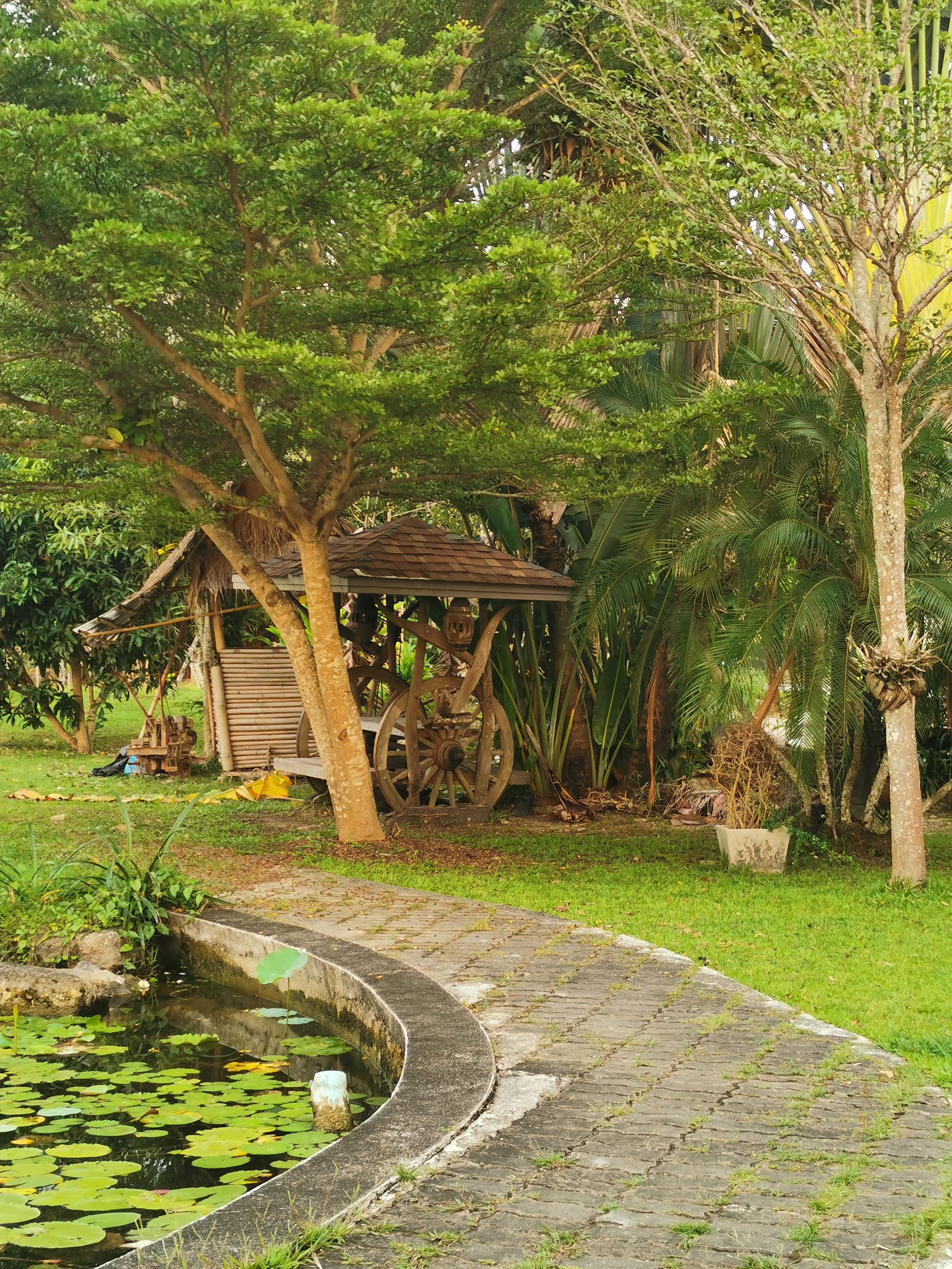 Фото Naina Resort & SPA