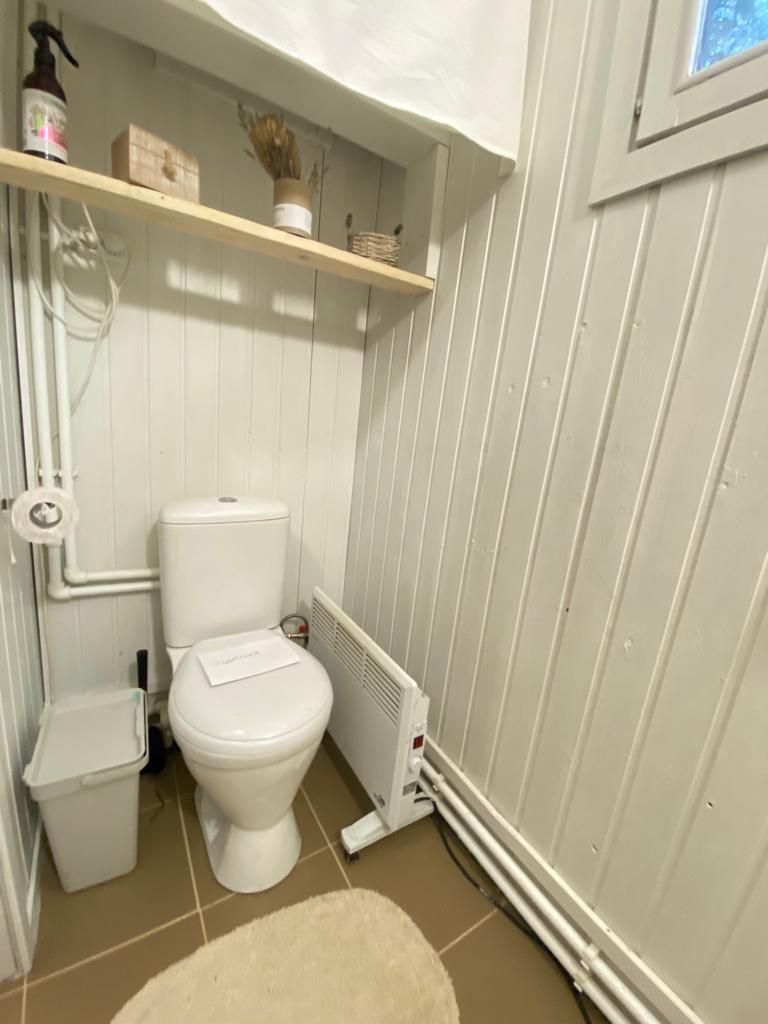 Фото TinyDacha можжевельник