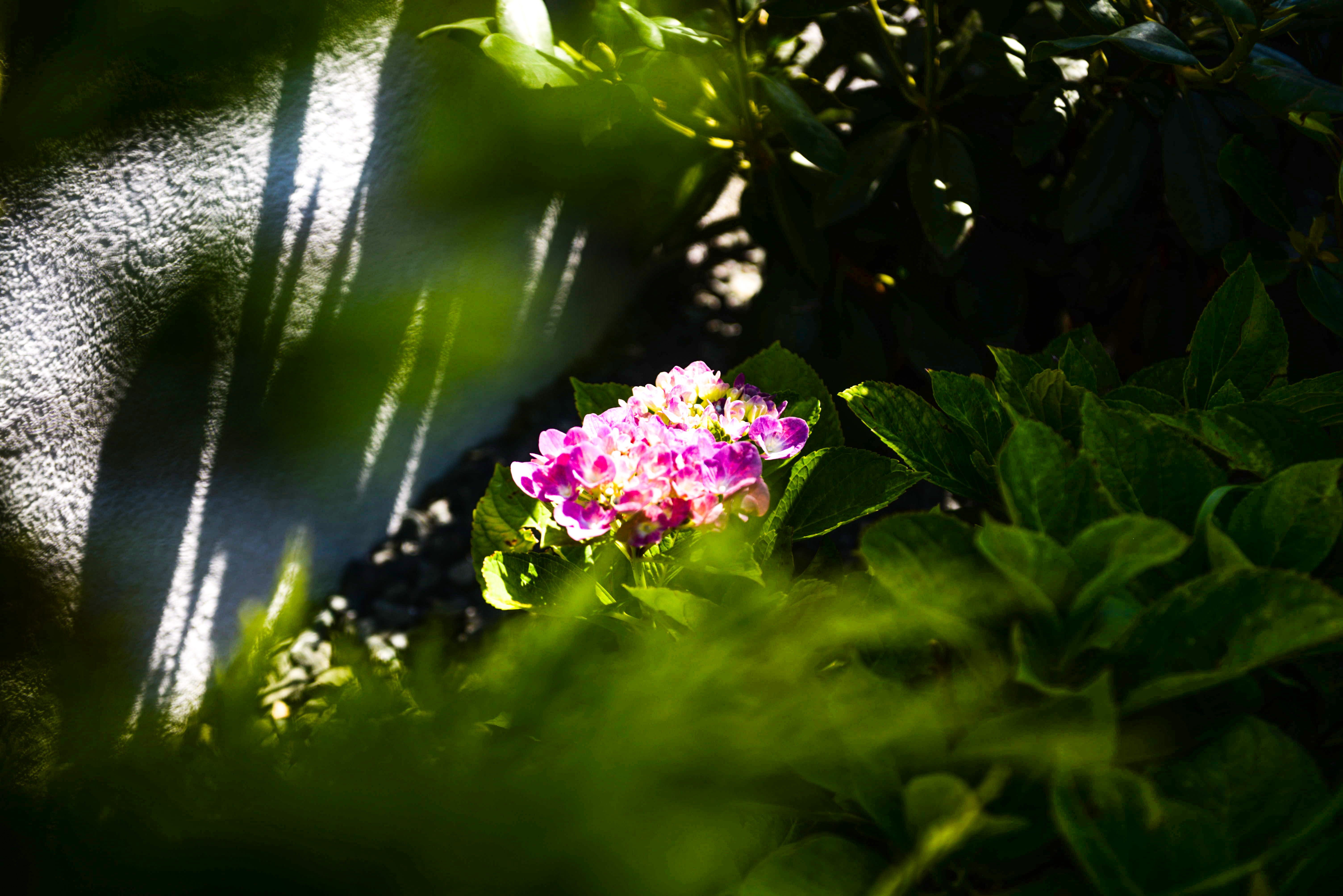 Фото Барнхаус