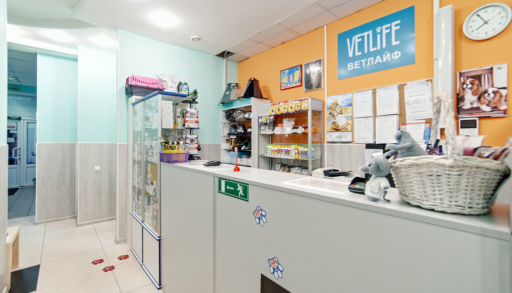 Vetlife ул петра великого 10а фото
