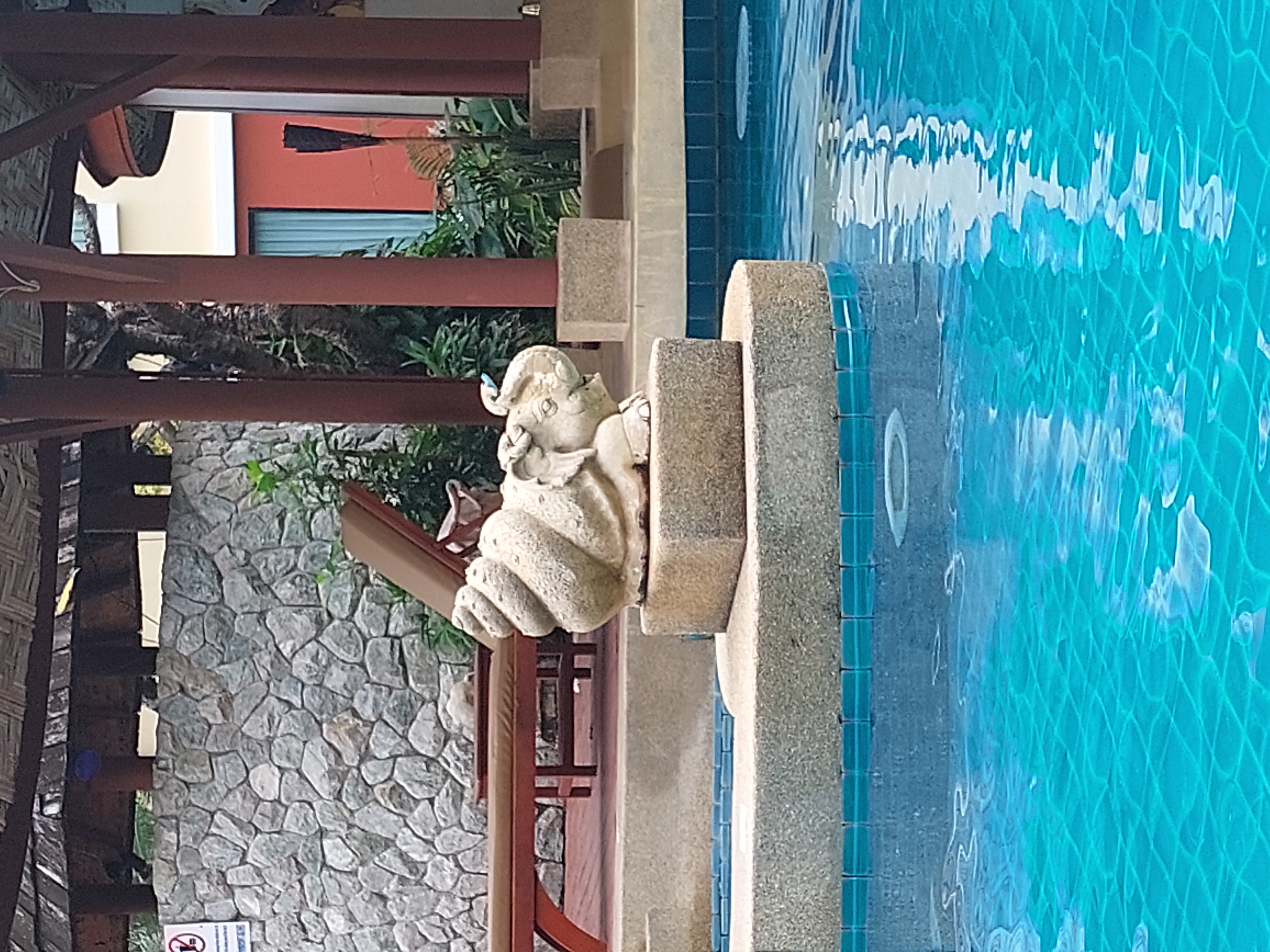 Фото Patong Paragon Resort and SPA