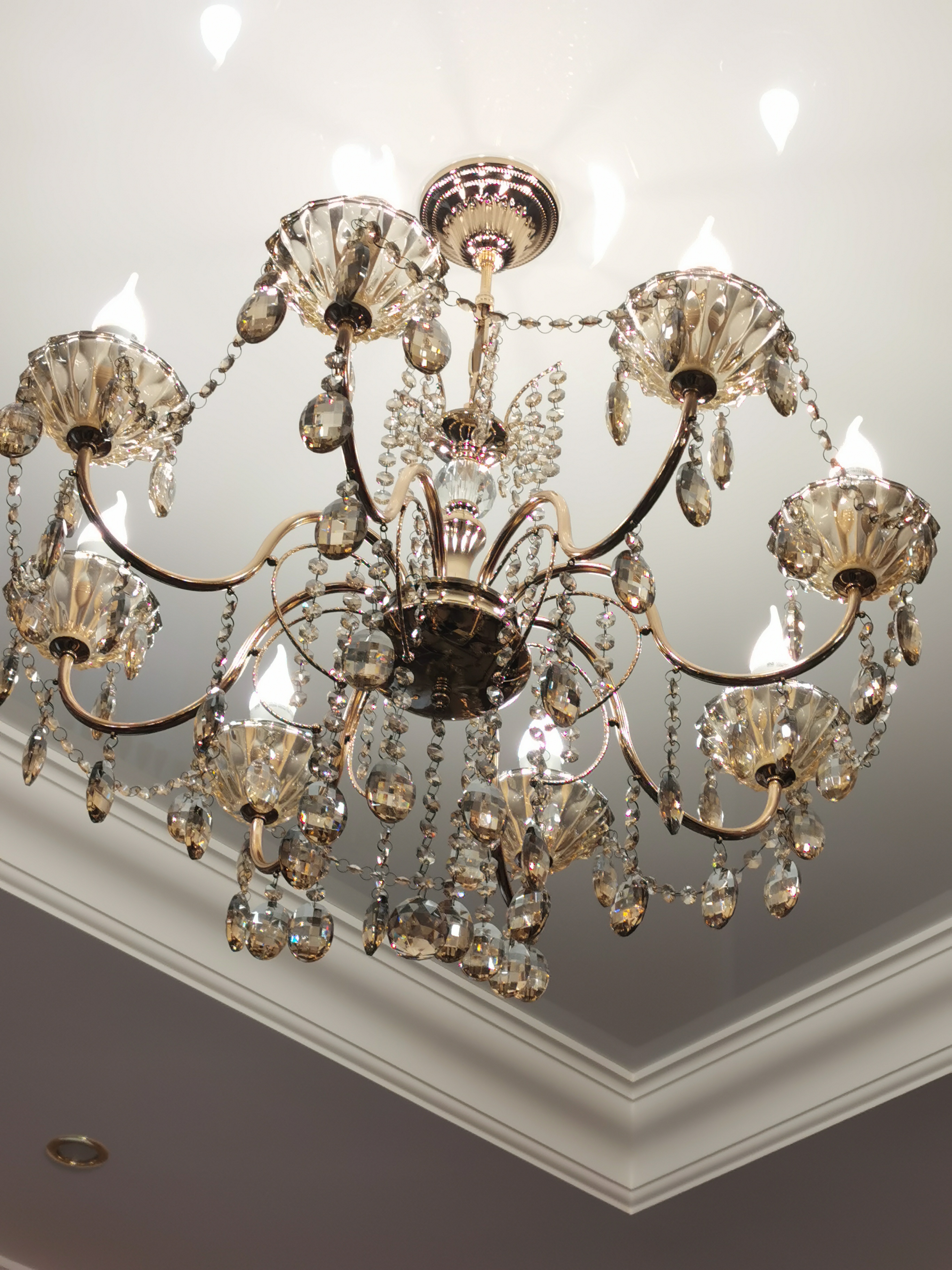 Фото Пилигрим