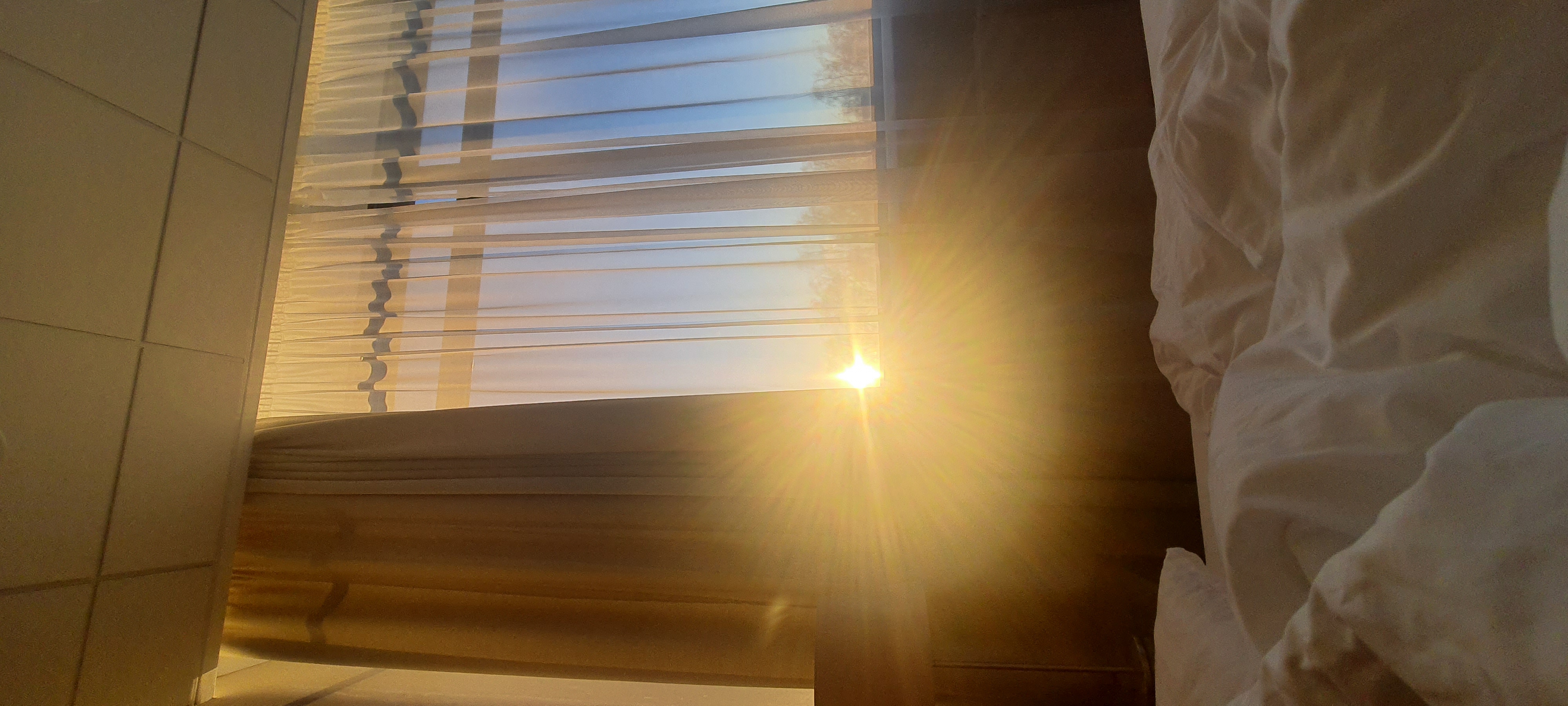 Фото Veshki Park