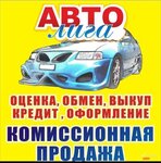 Автолига (Pryazhennikova Street, 8А), car dealership