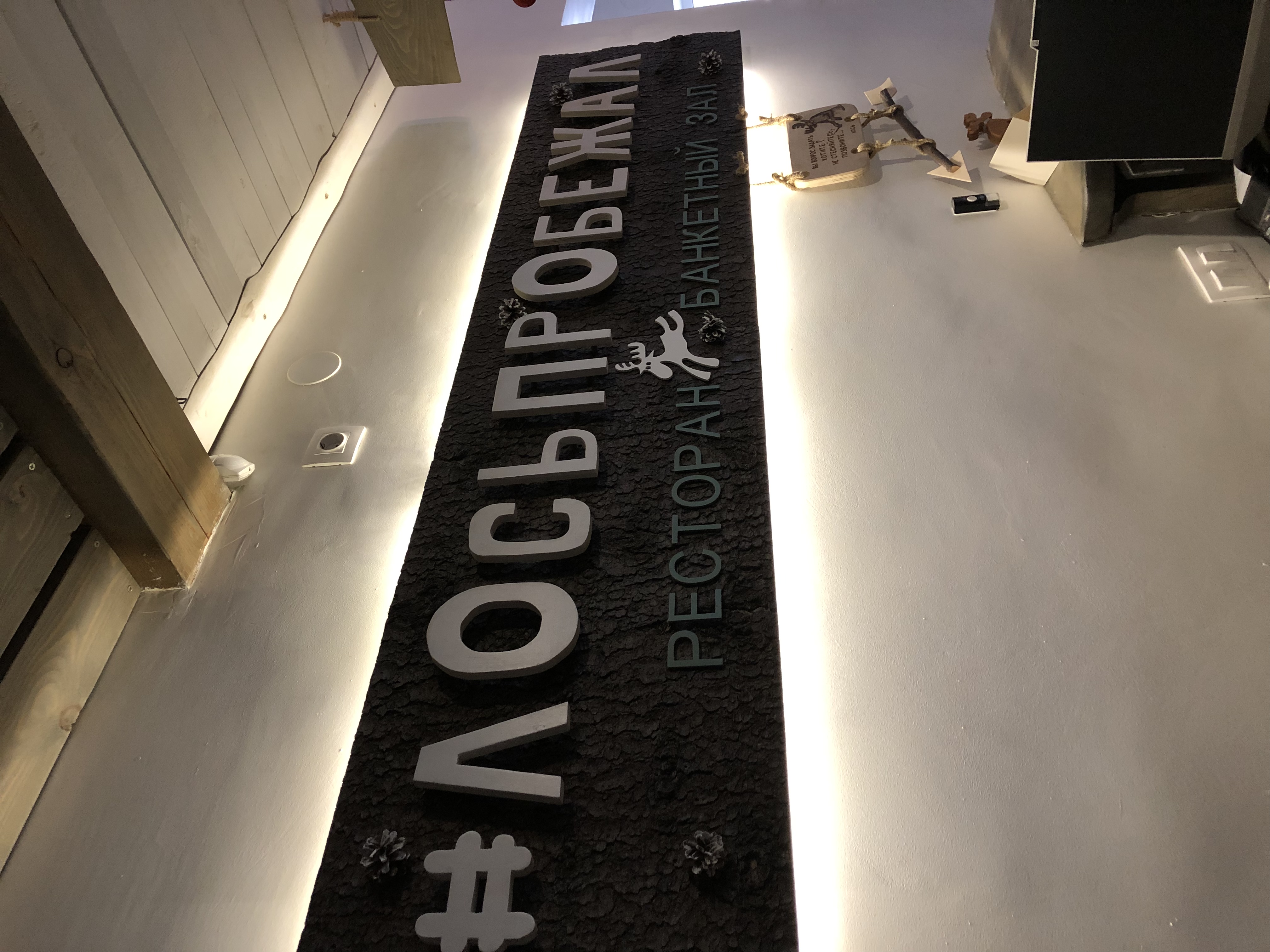 Фото Лосьпробежал