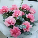 Garden Center by Black Tulip (178, Garden Street, Warsan 3, Mushraif, Dubai), garden center
