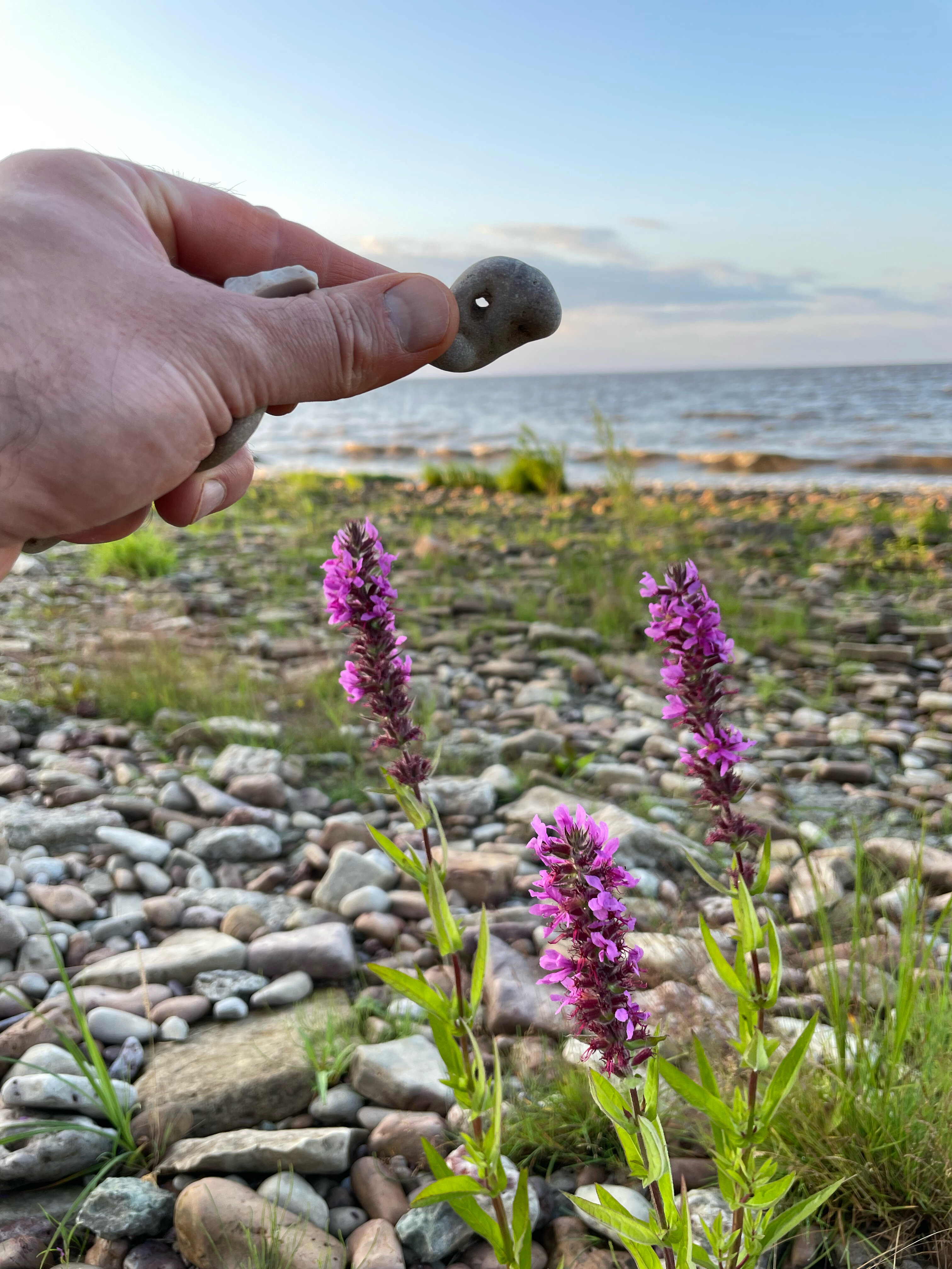 Фото Усадьба Южный Берег