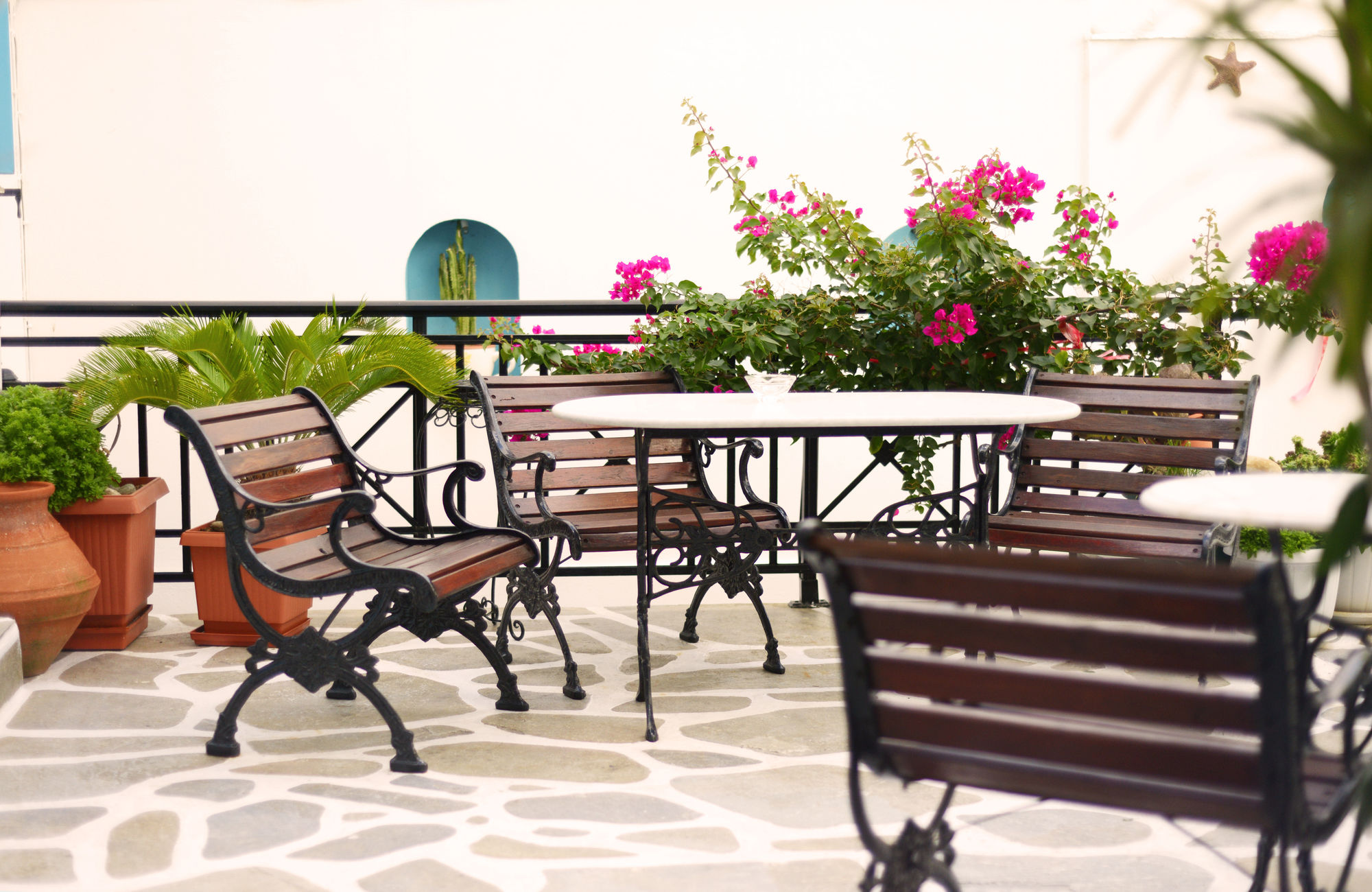 Фото Taki's Guests