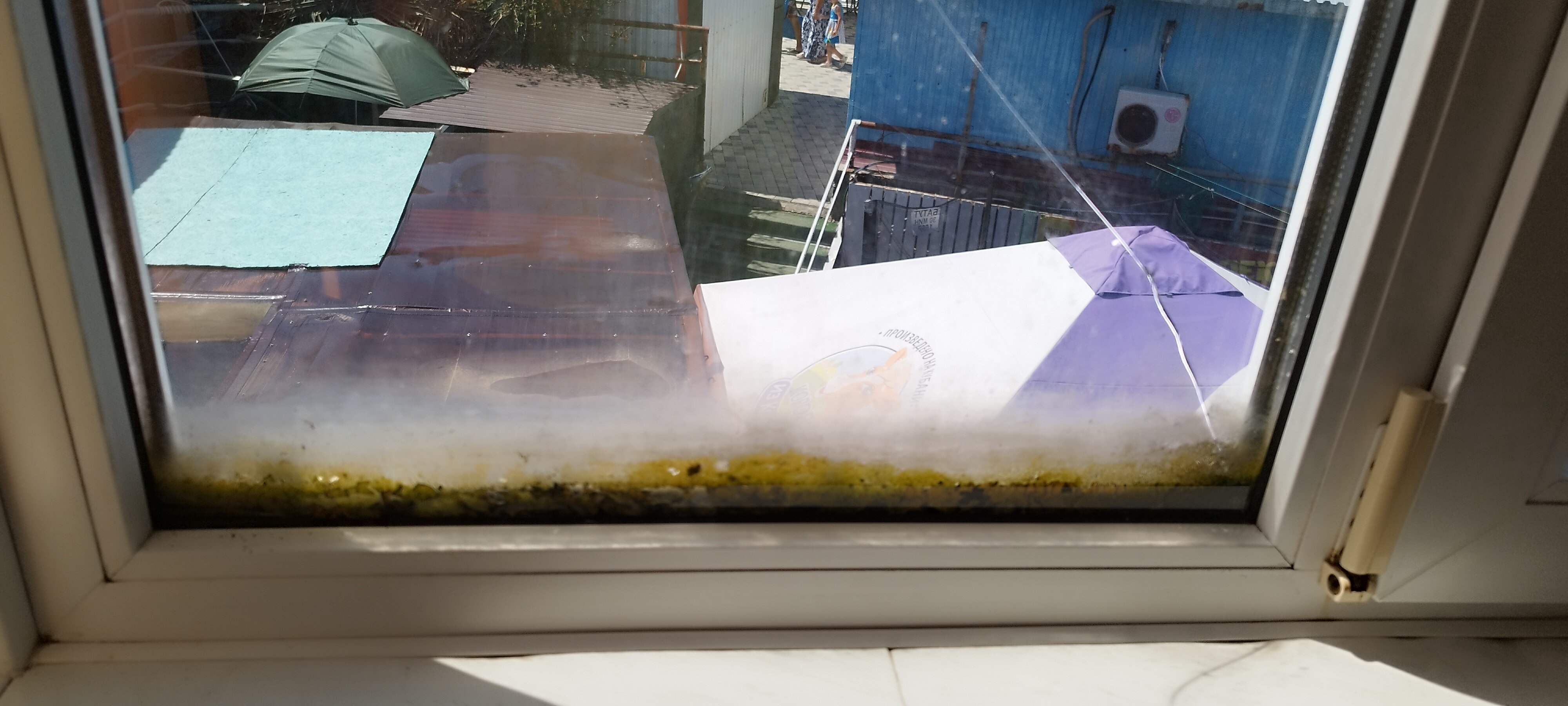 Фото Виктория